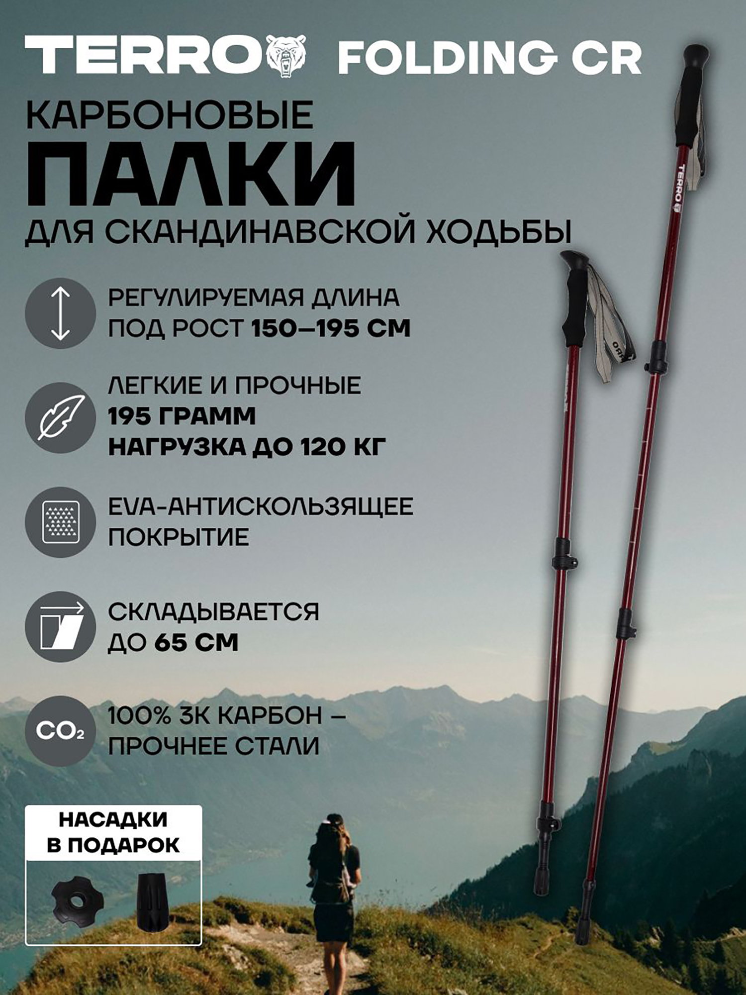 Изображение товара Палки для скандинавской ходьбы TERRO карбоновые телескопические