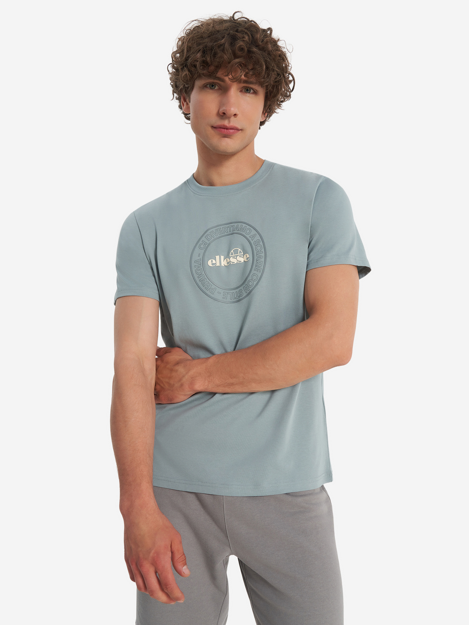 Футболка мужская Ellesse, серый, арт. ela253m811e0v-03