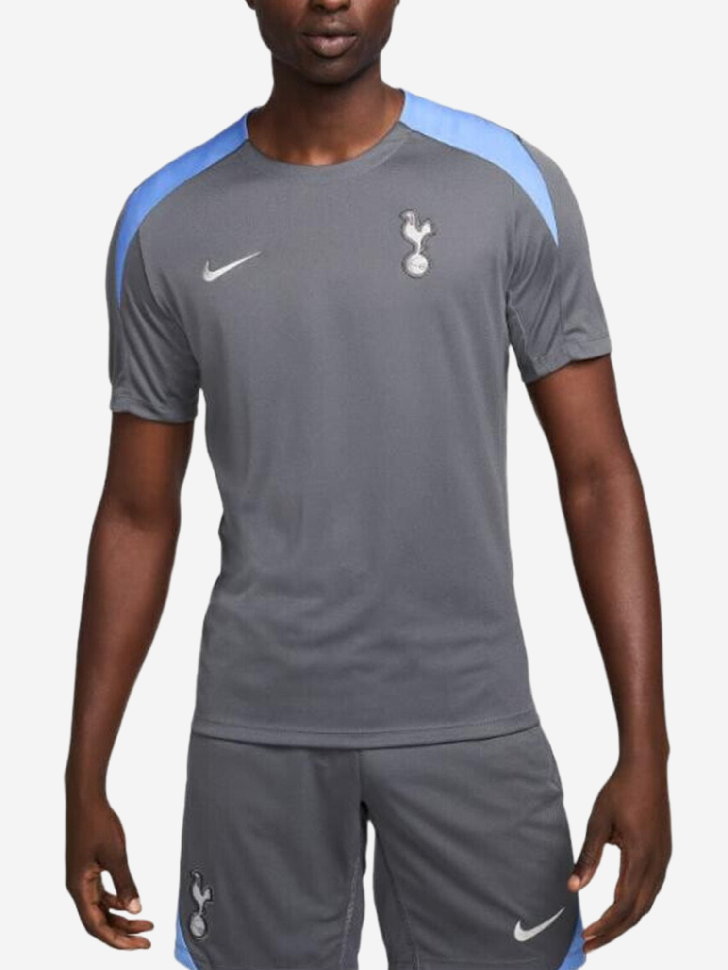 Изображение товара Мужская спортивная футболка Nike Dri Fit Tottenham Hotspur с логотипом