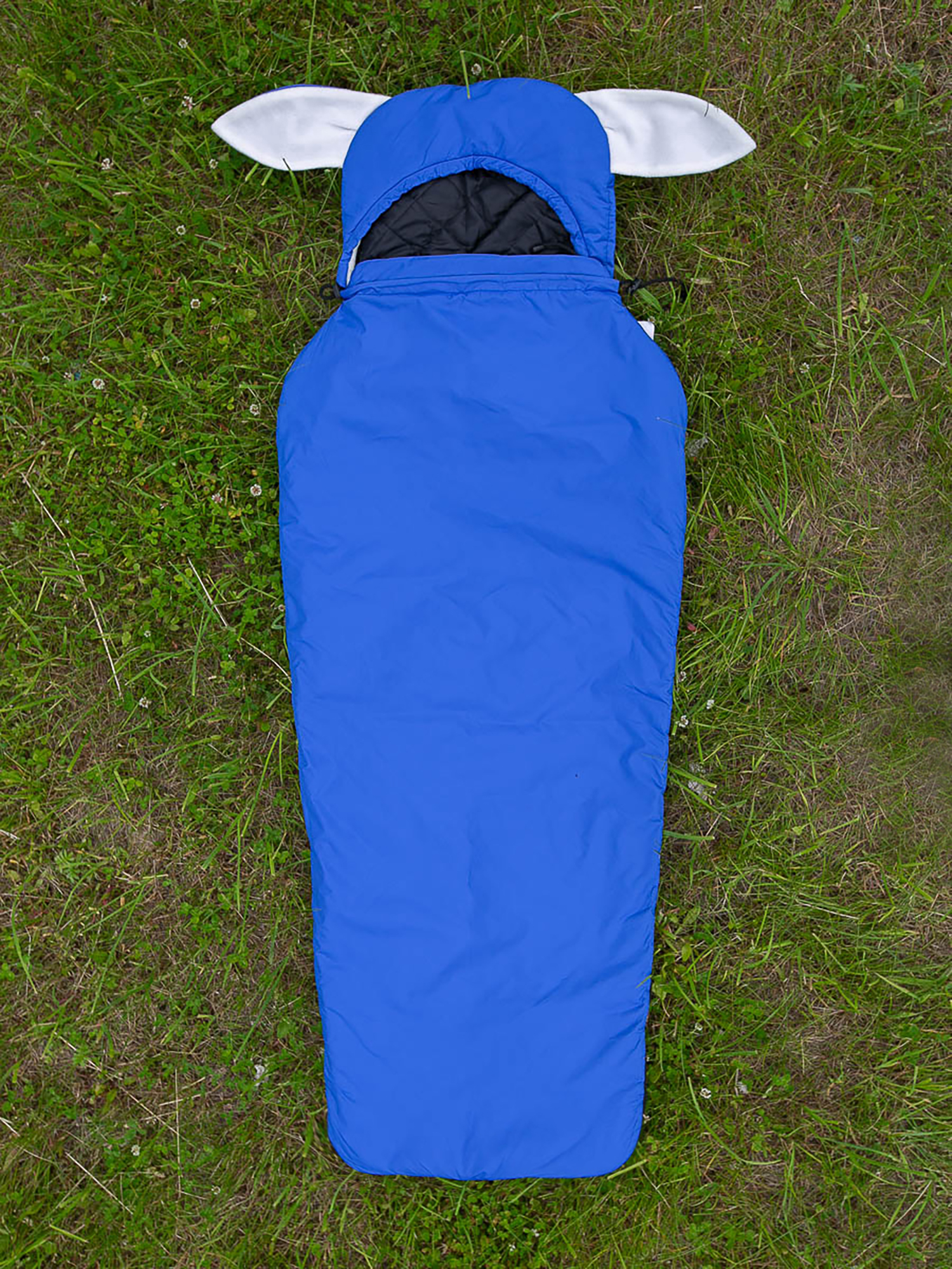 Изображение товара Туристический спальный мешок детский Lemur Studio, Голубой