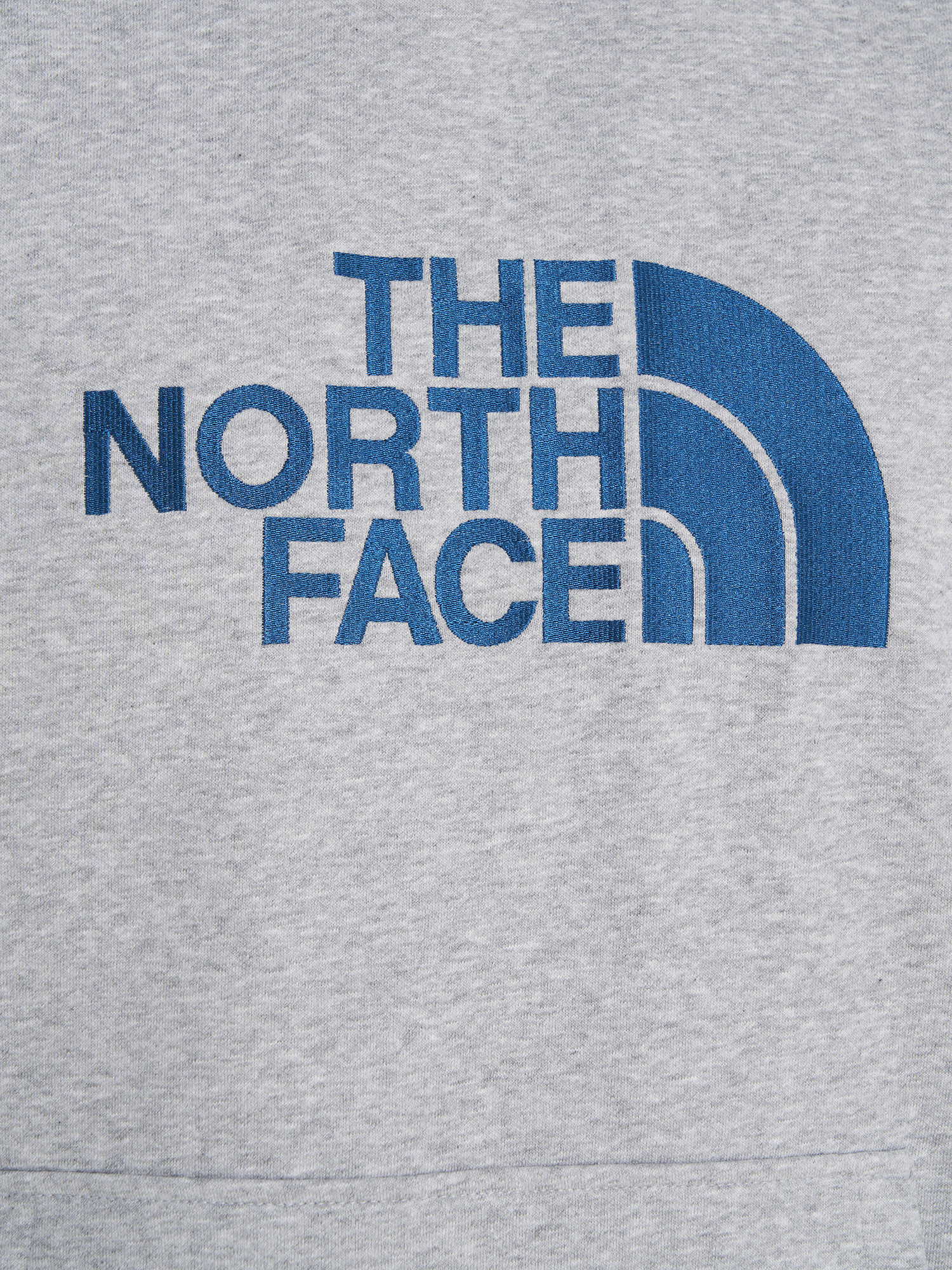 фото Худи мужское the north face drew peak, серый