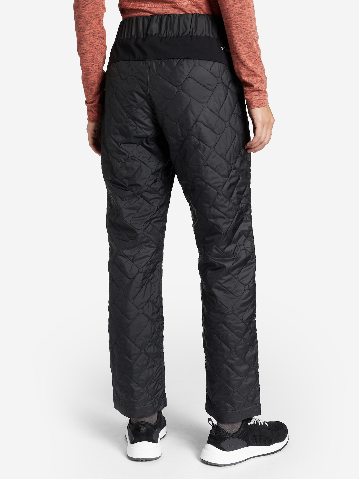 Брюки утепленные женские Columbia Sweet View II Insulated Pant, Черный 1960231CLB-010, размер 46 - фото 2