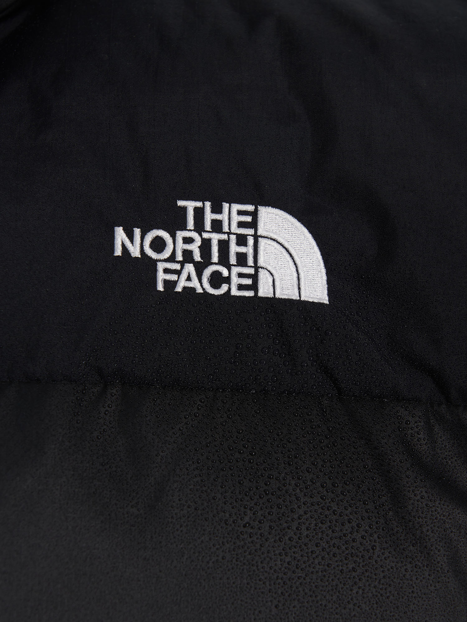 Пуховик мужской The North Face Diablo Down 2.0, Черный