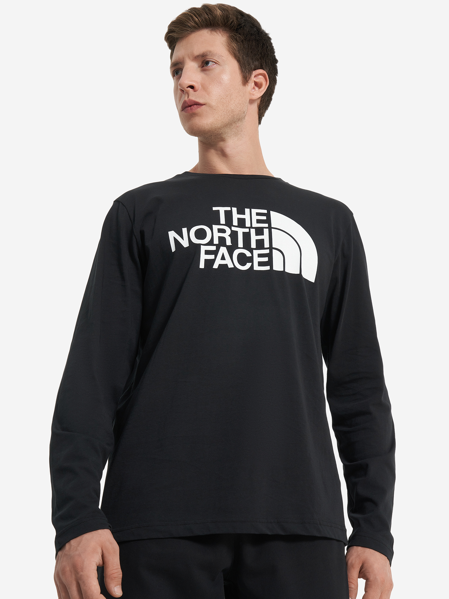 

Лонгслив мужской The North Face Half Dome, Черный