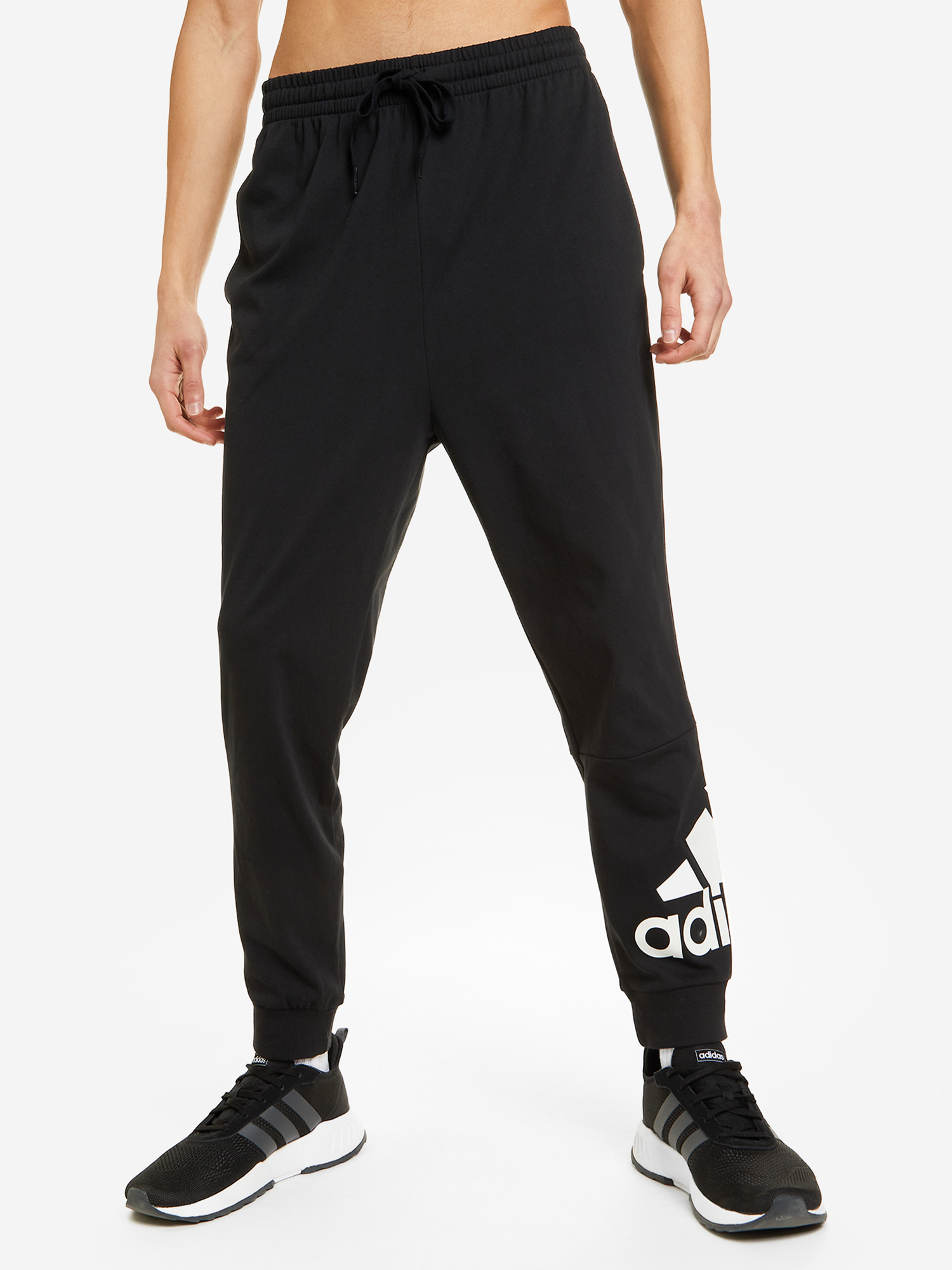 Брюки мужские adidas Big Logo, Черный пояс для джиу джитсу adidas club adibjjb c