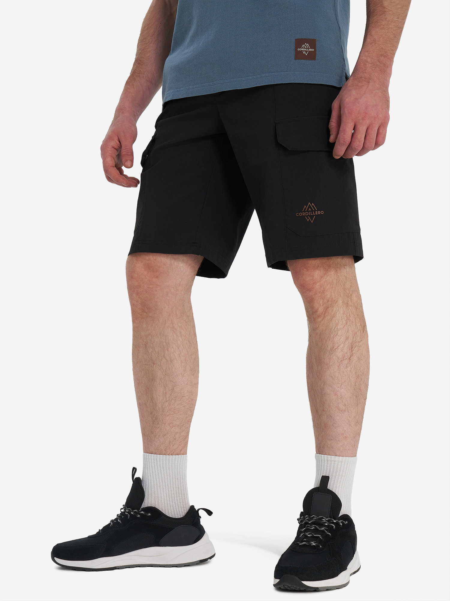 Шорты мужские Cordillero, черный, арт. 141807C37-99