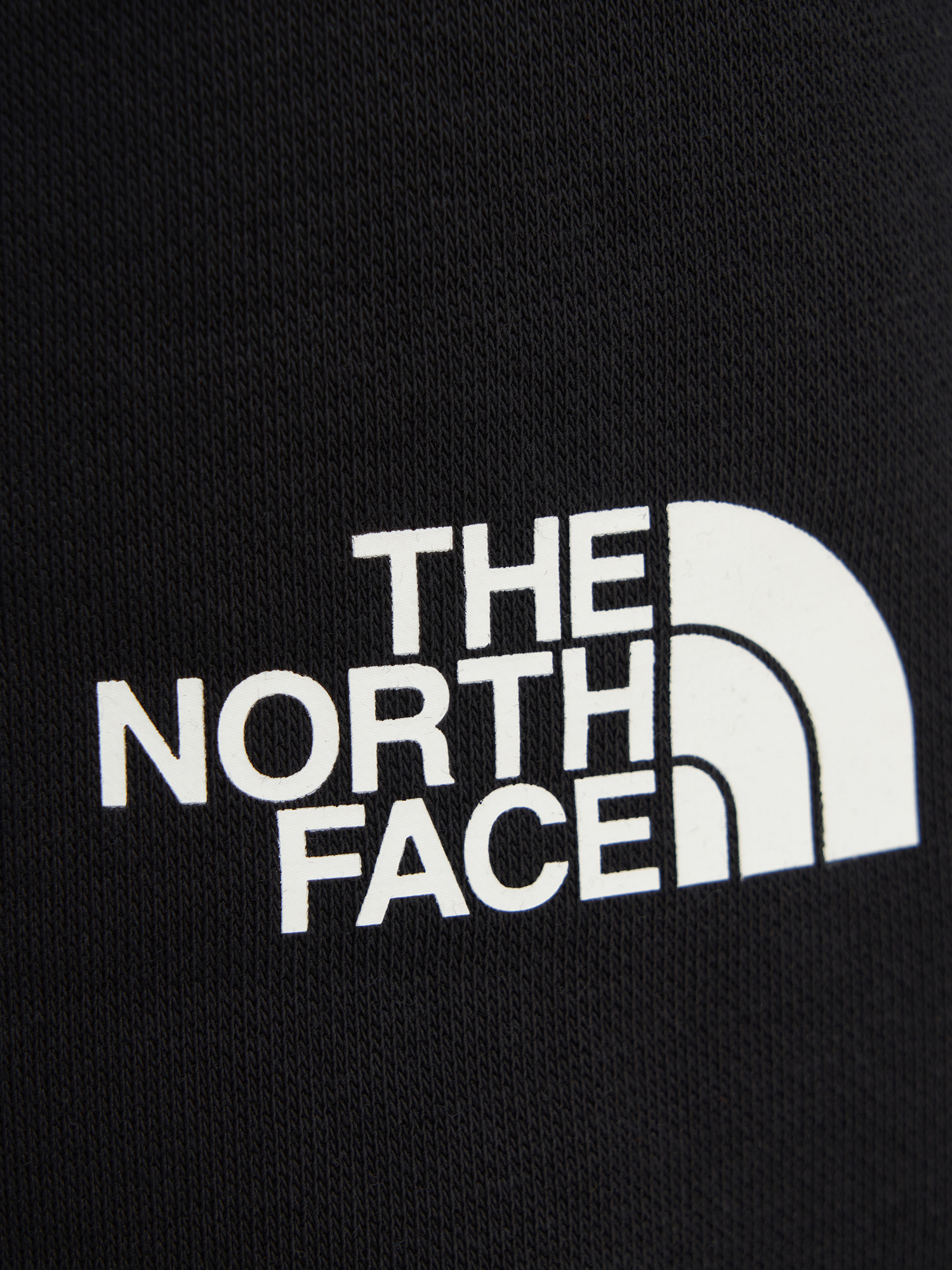 фото Брюки мужские the north face fine, черный