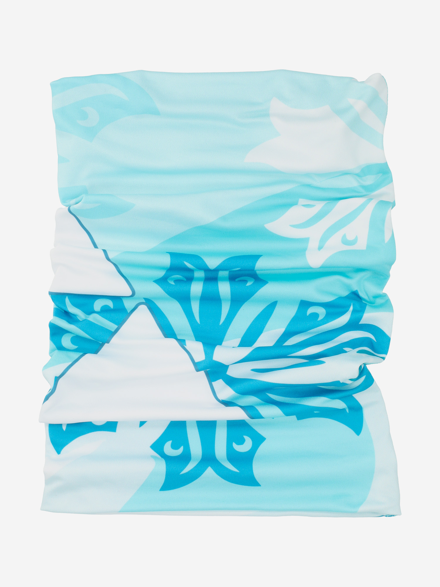 

Гейтор Fischer Skiers, Голубой