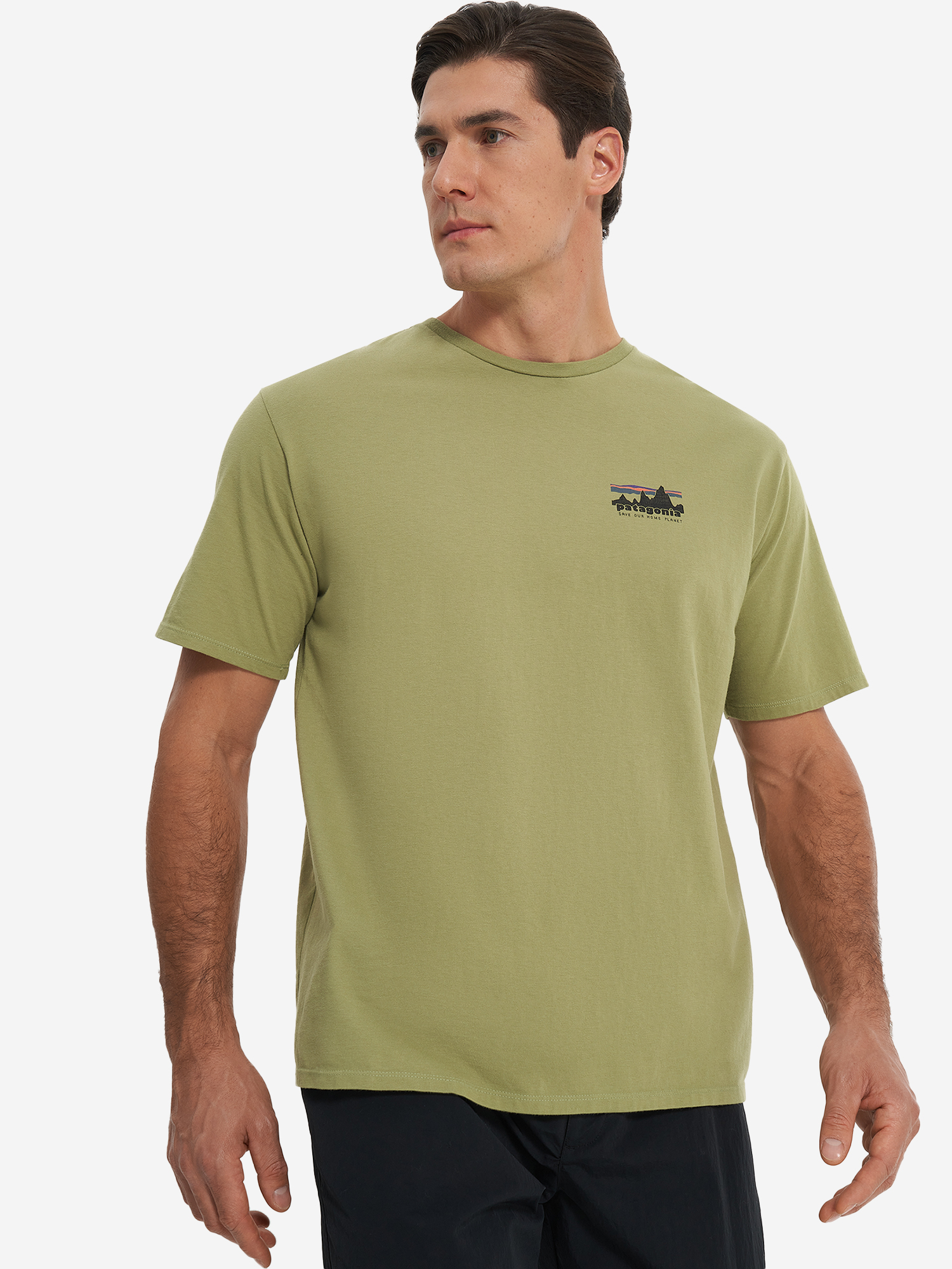 

Футболка мужская Patagonia Skyline Organic, Зеленый