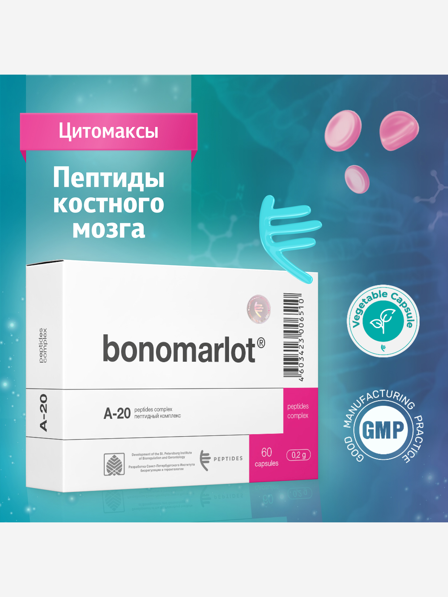 Изображение товара Пептиды костного мозга Бономарлот 60 капсул для восстановления