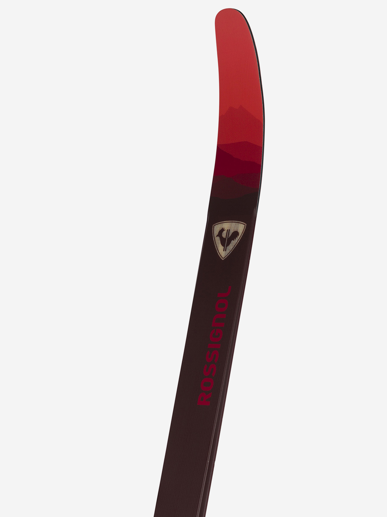 фото Беговые лыжи rossignol evo xt 55 positrack, красный