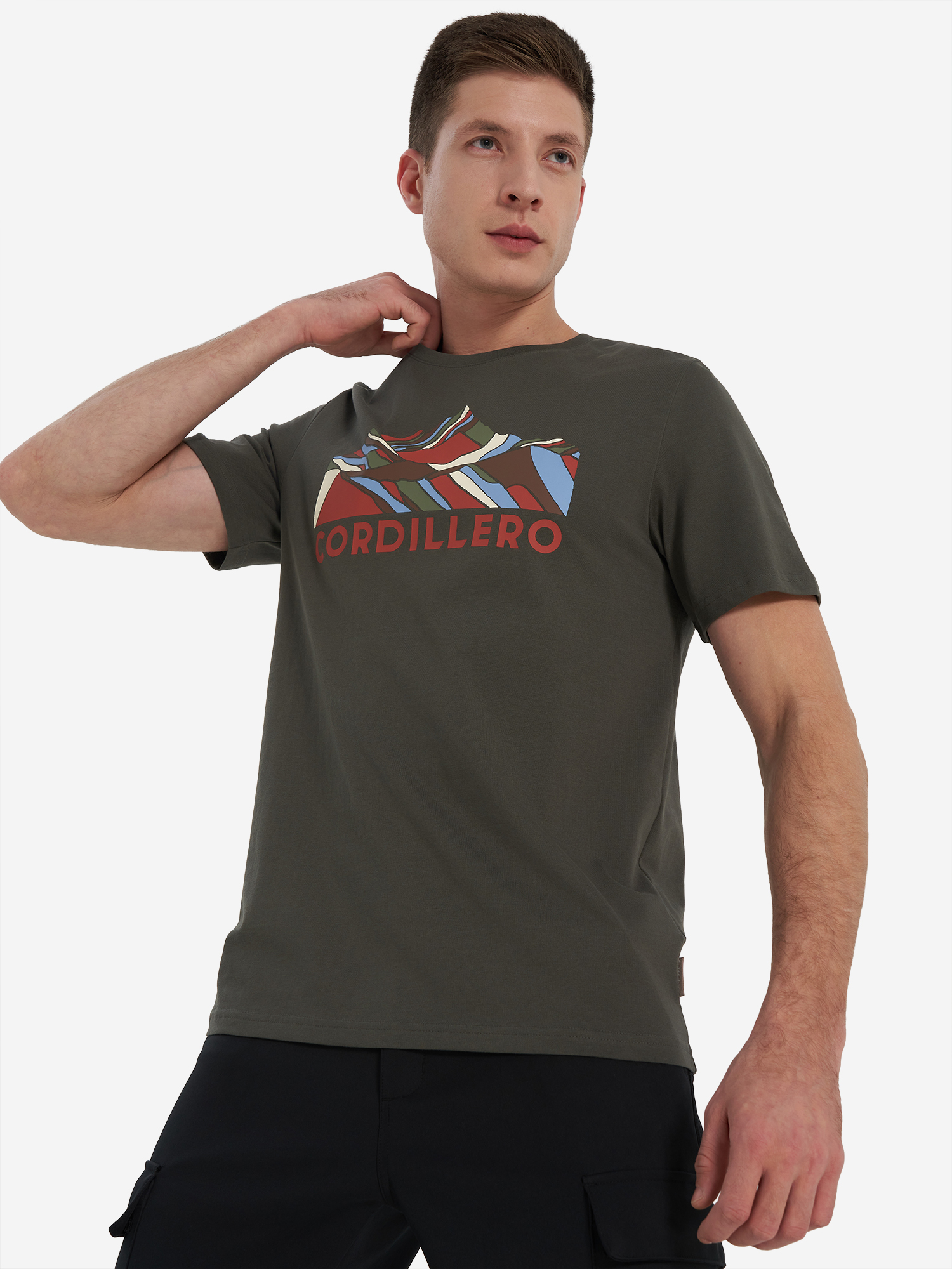 Изображение товара Футболка мужская Cordillero, Болотный