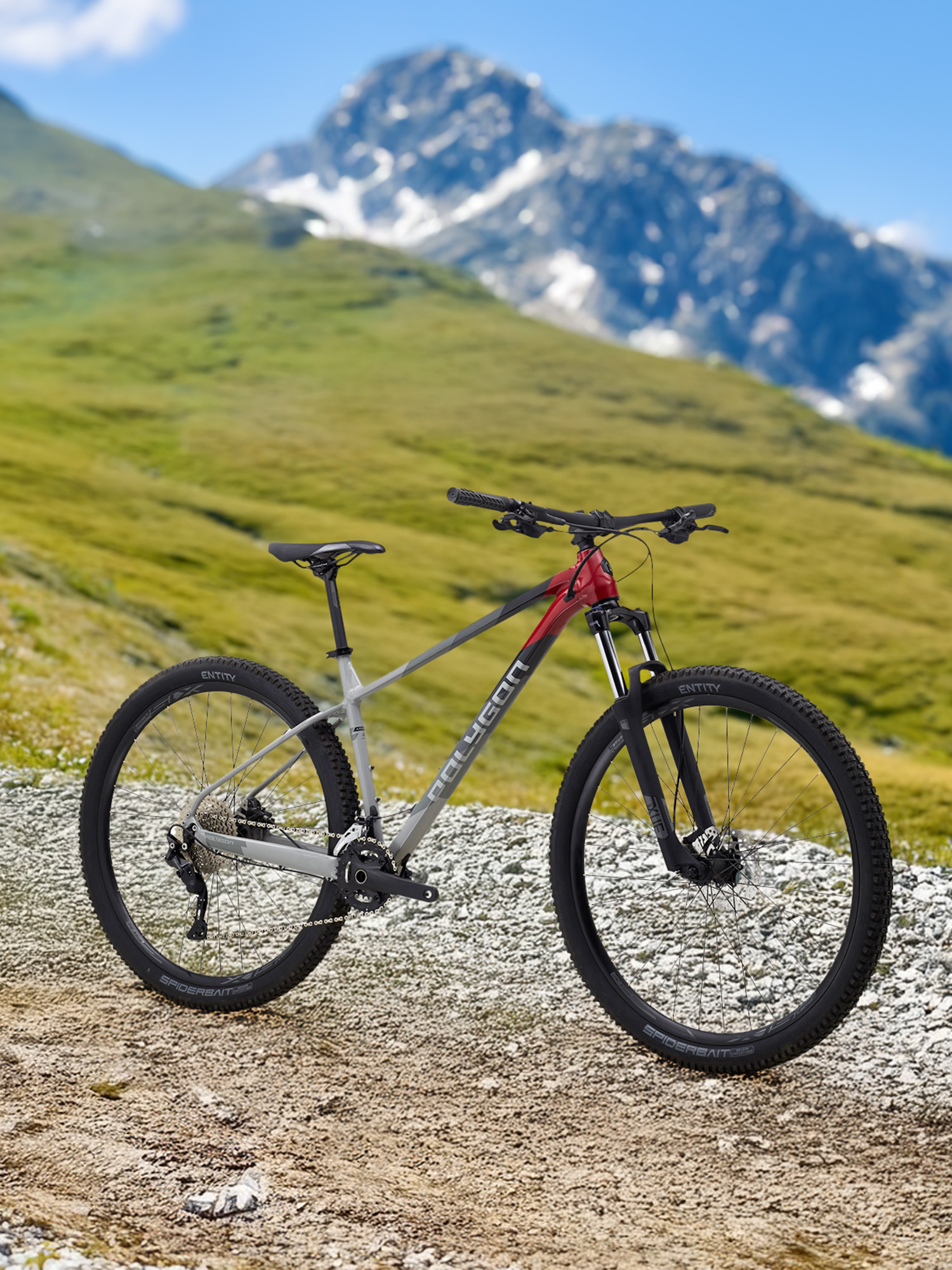 

Велосипед горный Polygon Xtrada 5 27,5", Серый