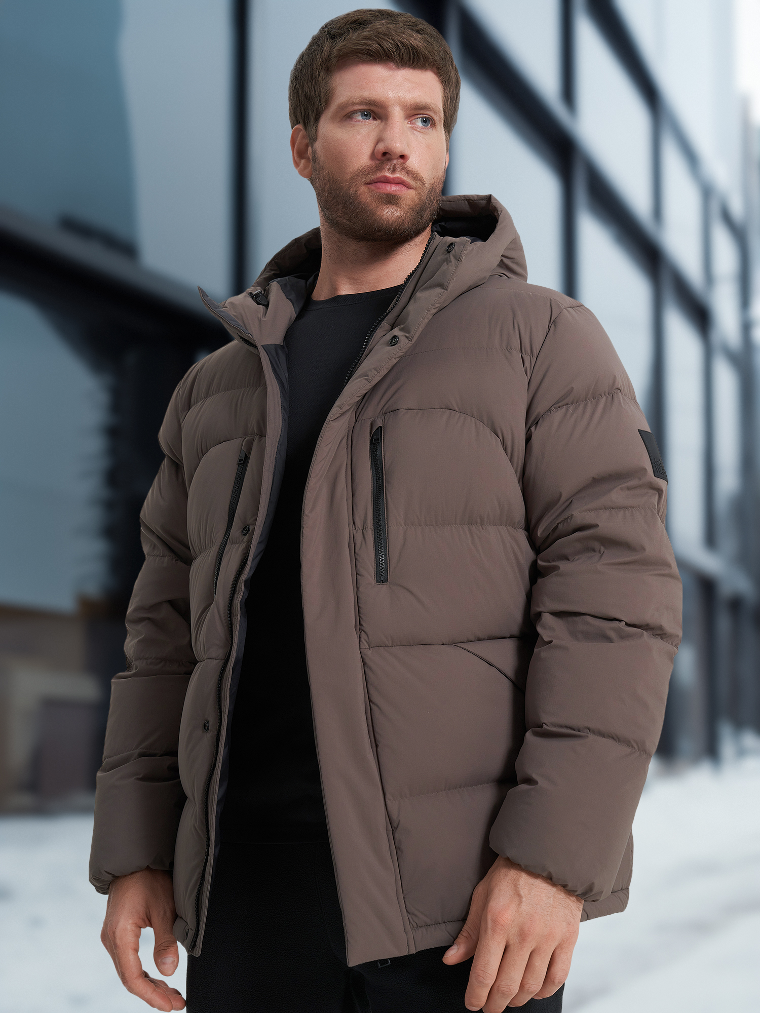 

Пуховик мужской Jack Wolfskin Roemertor, Коричневый