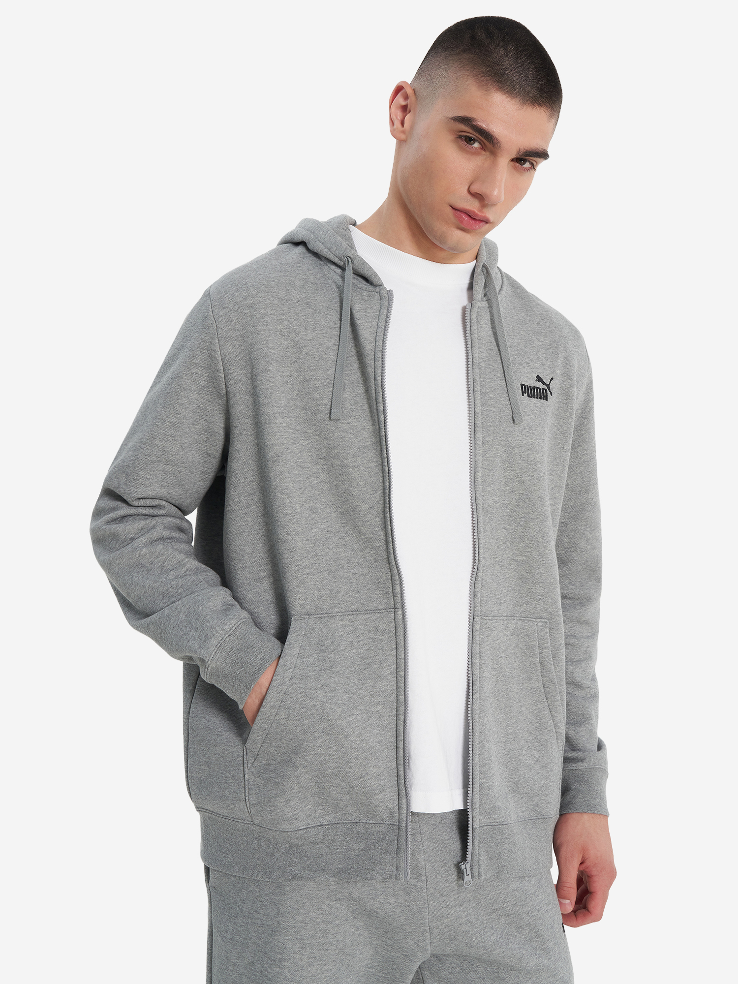 

Толстовка мужская PUMA Ess No. 1 Logo, Серый