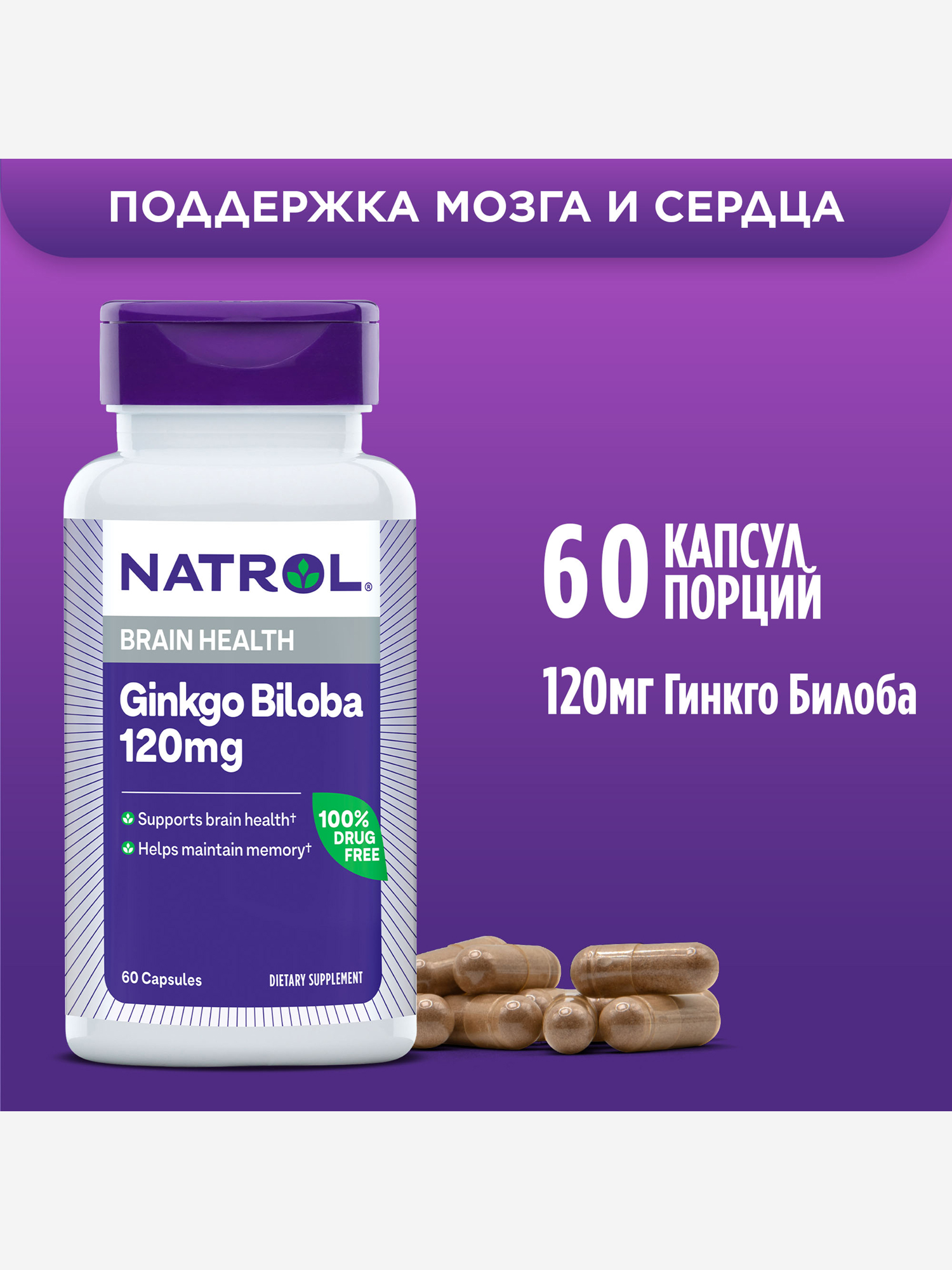 Изображение товара БАД Гинкго билоба Natrol 120мг для мозга память концентрация 60 капсул