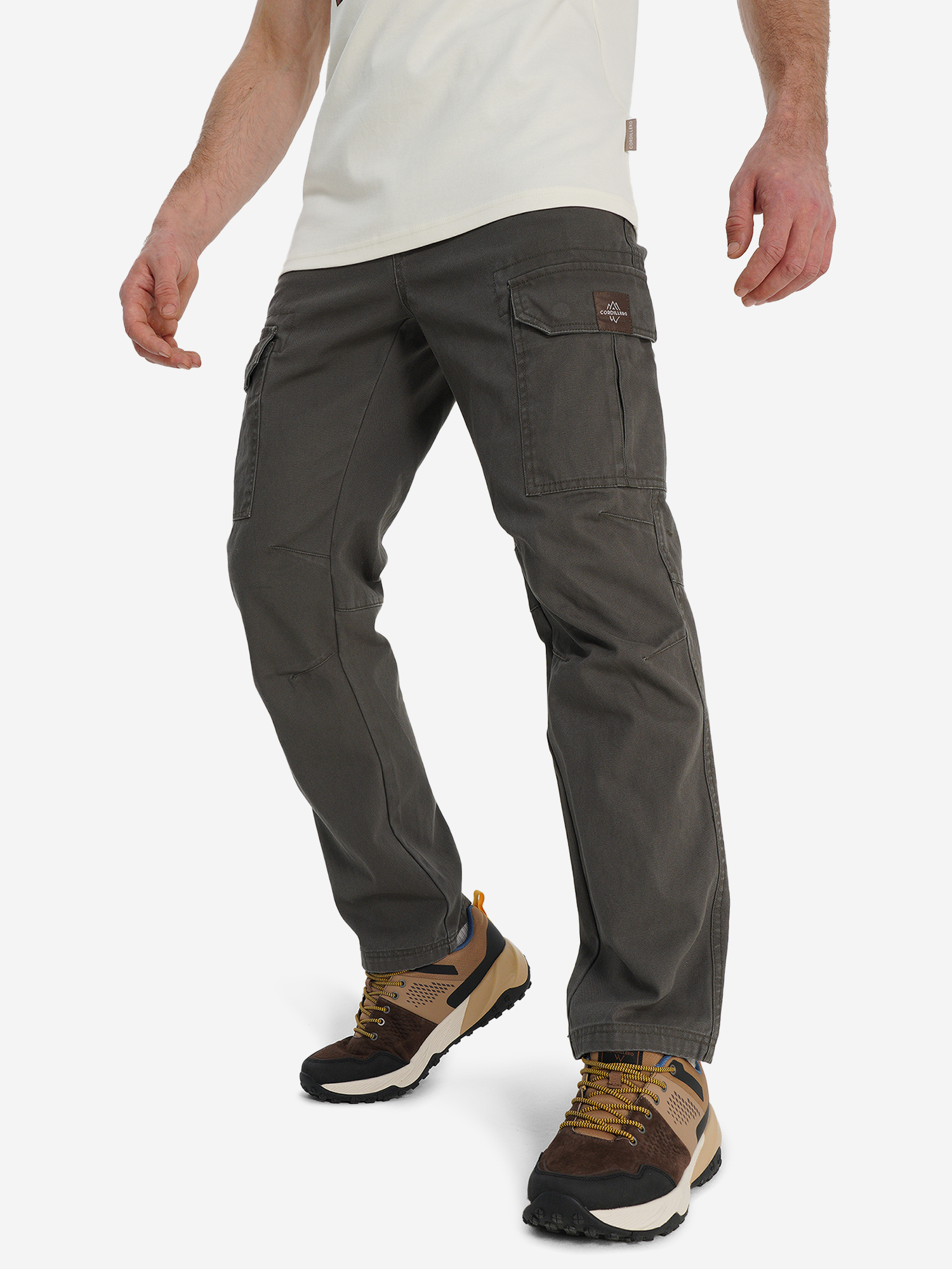 Изображение товара Брюки мужские Cordillero, Болотный