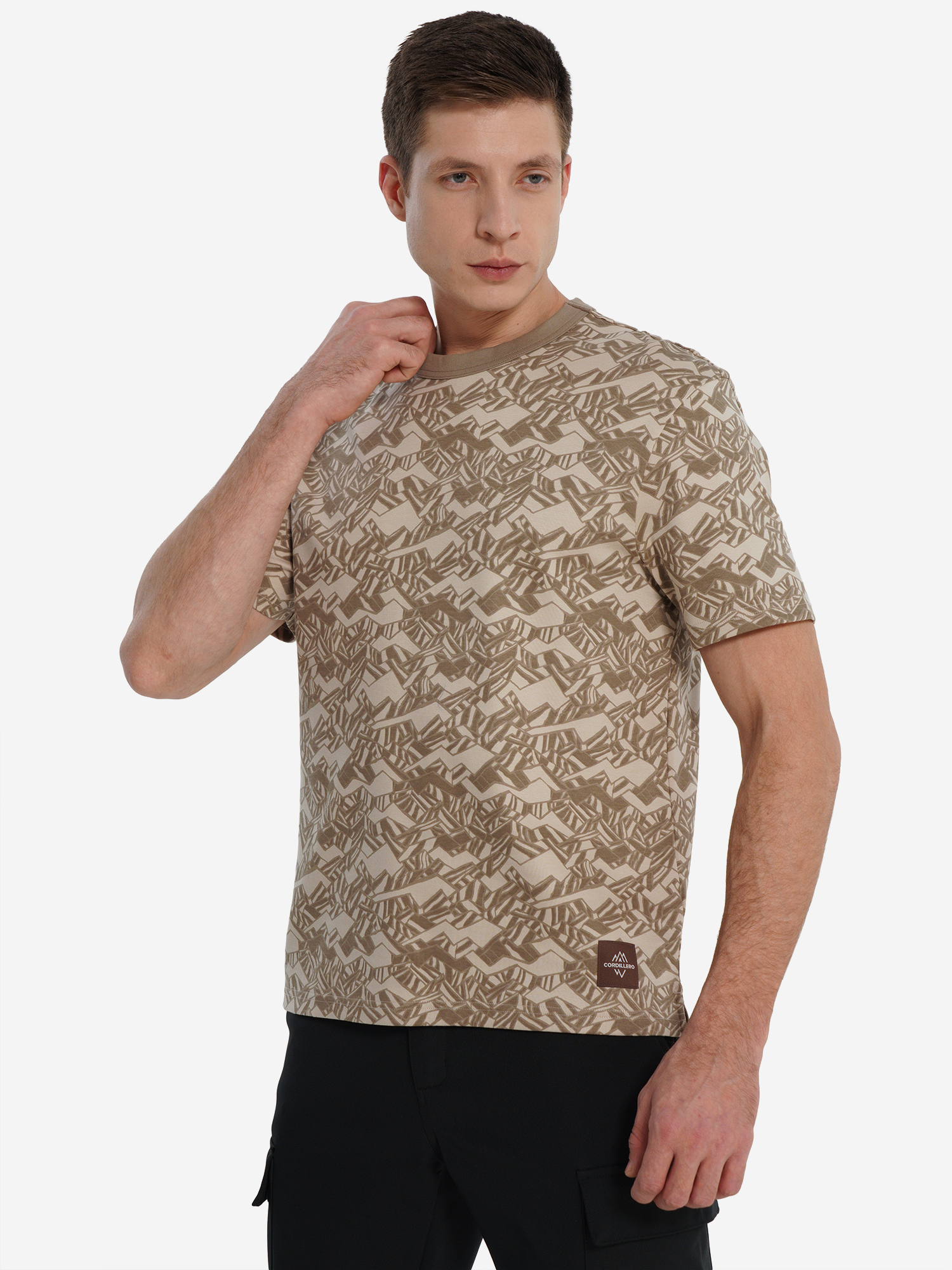 Изображение товара Футболка мужская Cordillero