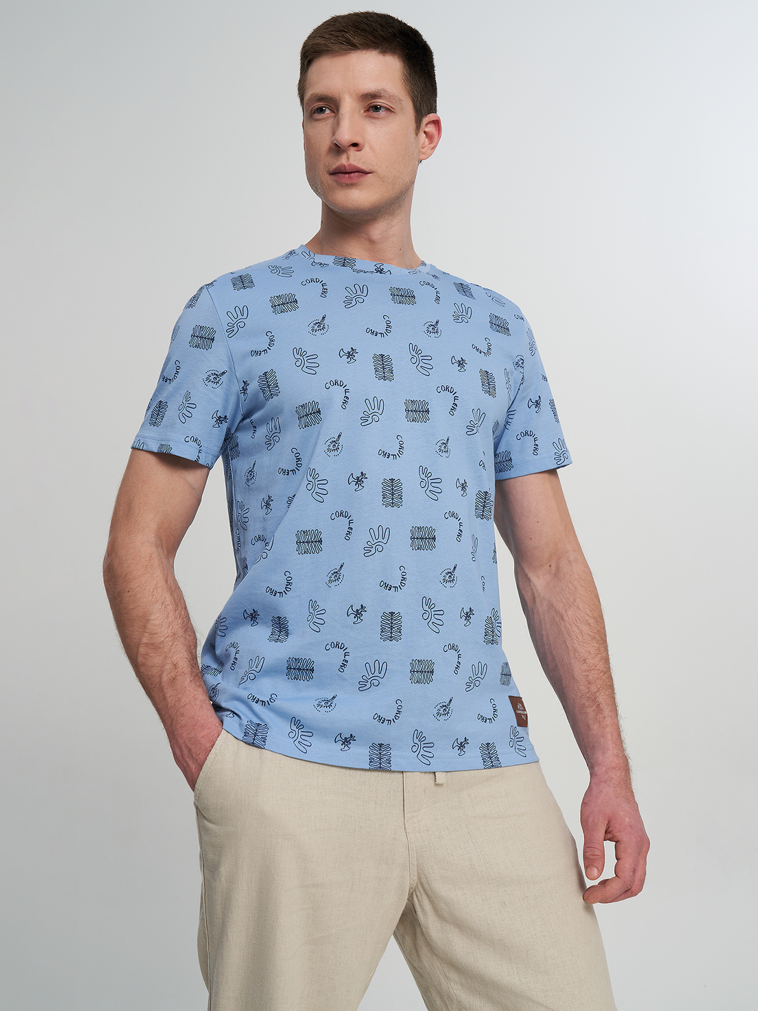 Изображение товара Футболка мужская Cordillero, Синий