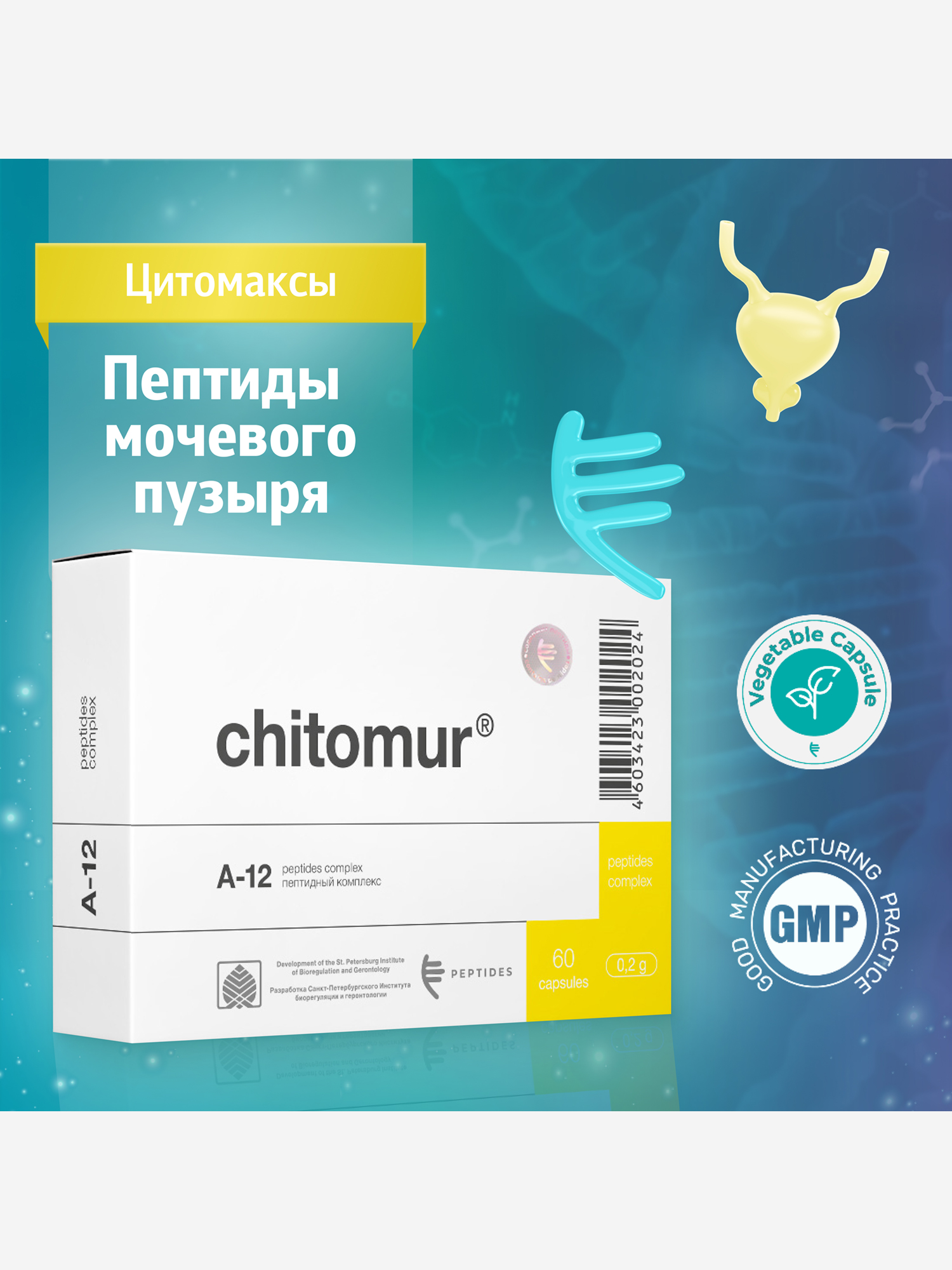 Изображение товара Натуральные пептиды мочевого пузыря Читомур 60 капсул для здоровья и красоты