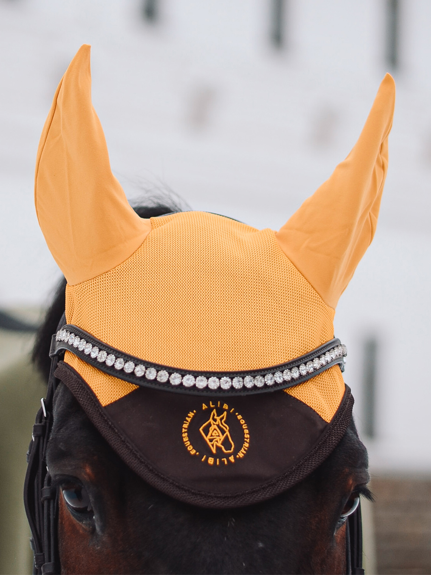 

Ушки для лошадей ALIBI EQUESTRIAN Мёд, Желтый