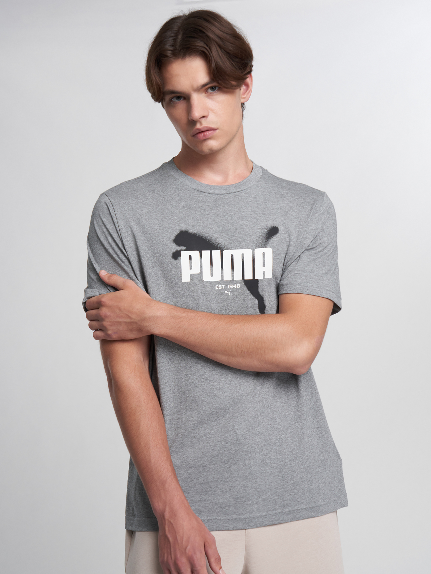 Изображение товара Футболка мужская PUMA Graphics, Серый Изображение товара Футболка мужская PUMA Graphics, Серый