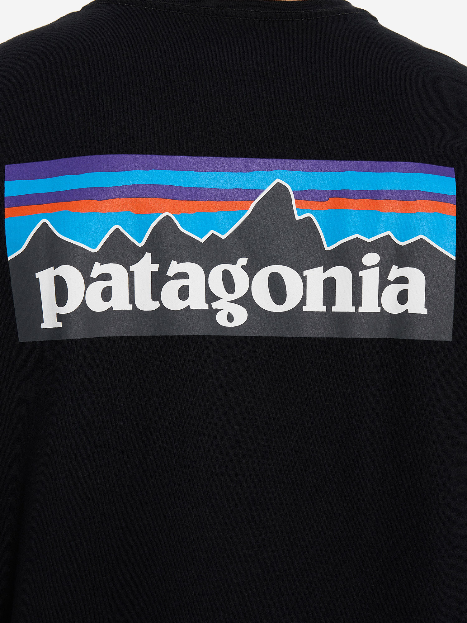 Футболка мужская Patagonia Logo, Черный 38504P3A-BLK, размер 60-62 - фото 5