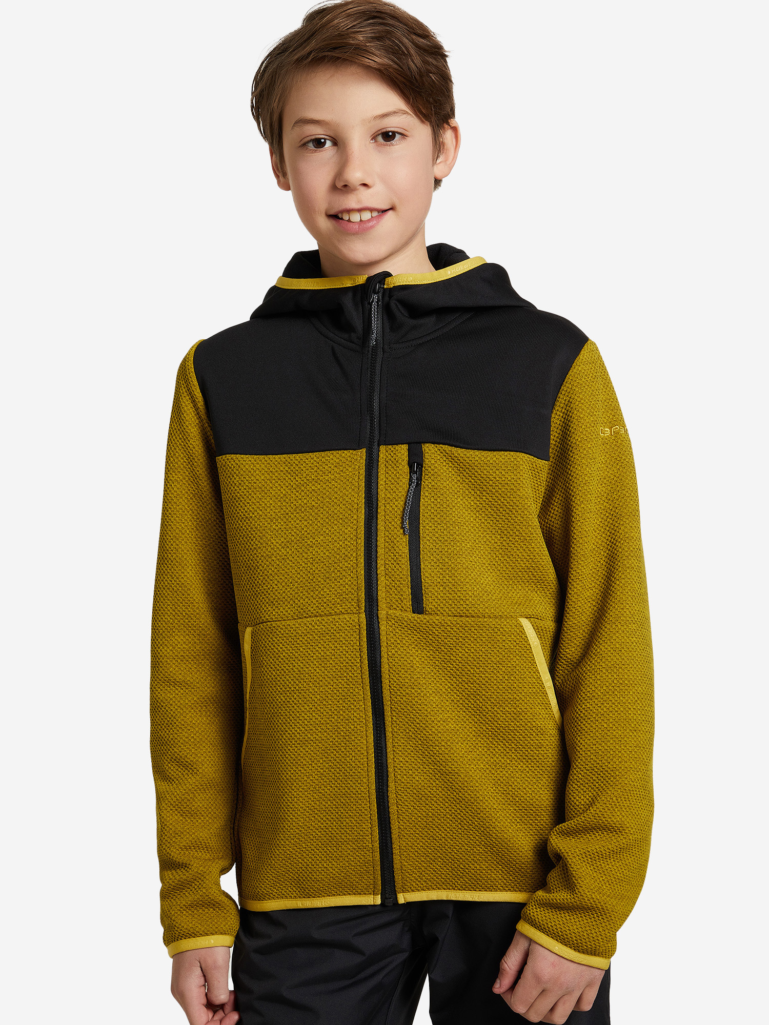 

Джемпер флисовый для мальчиков IcePeak Lenzen, Зеленый