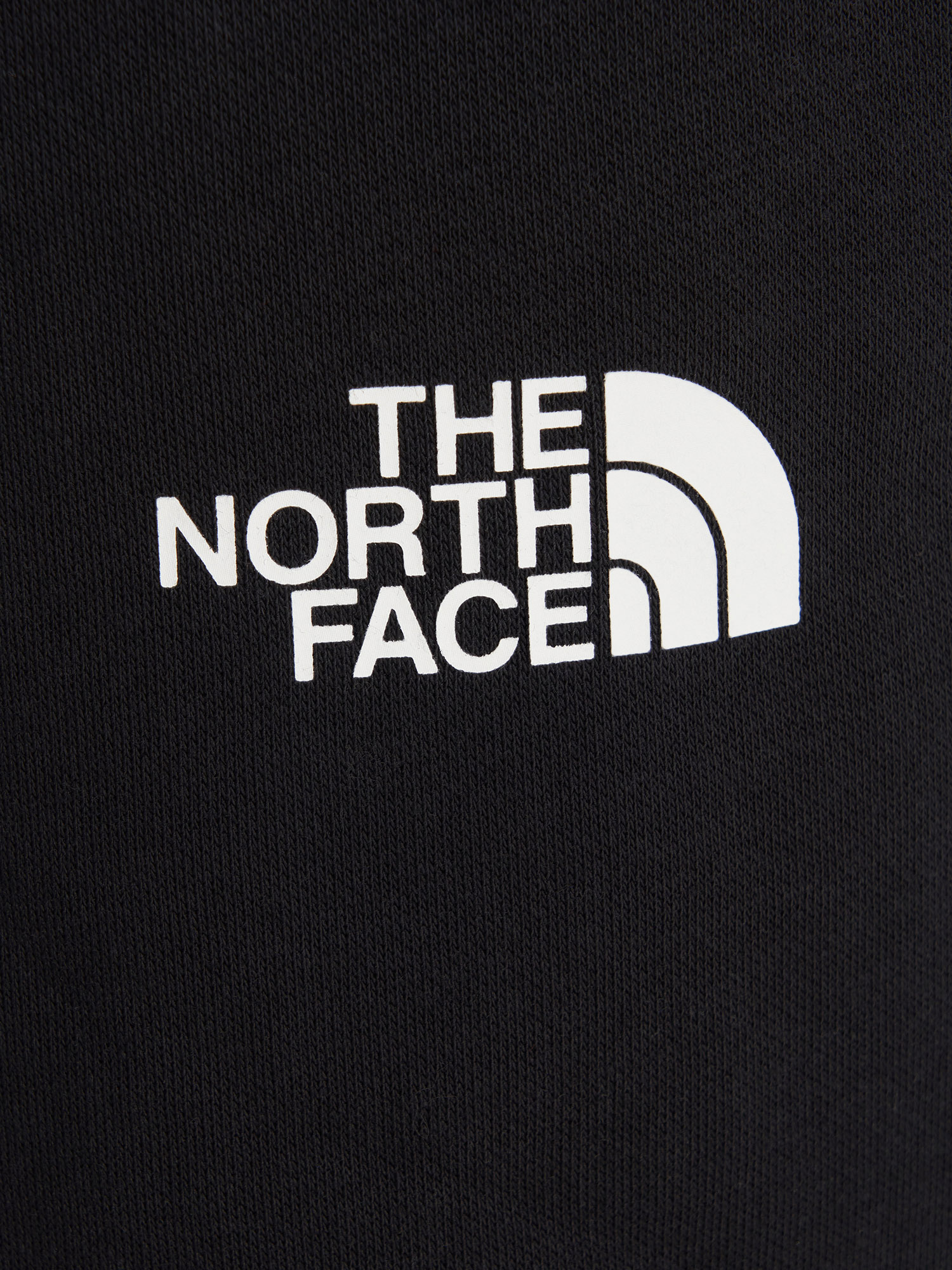 фото Брюки мужские the north face simple dome, черный