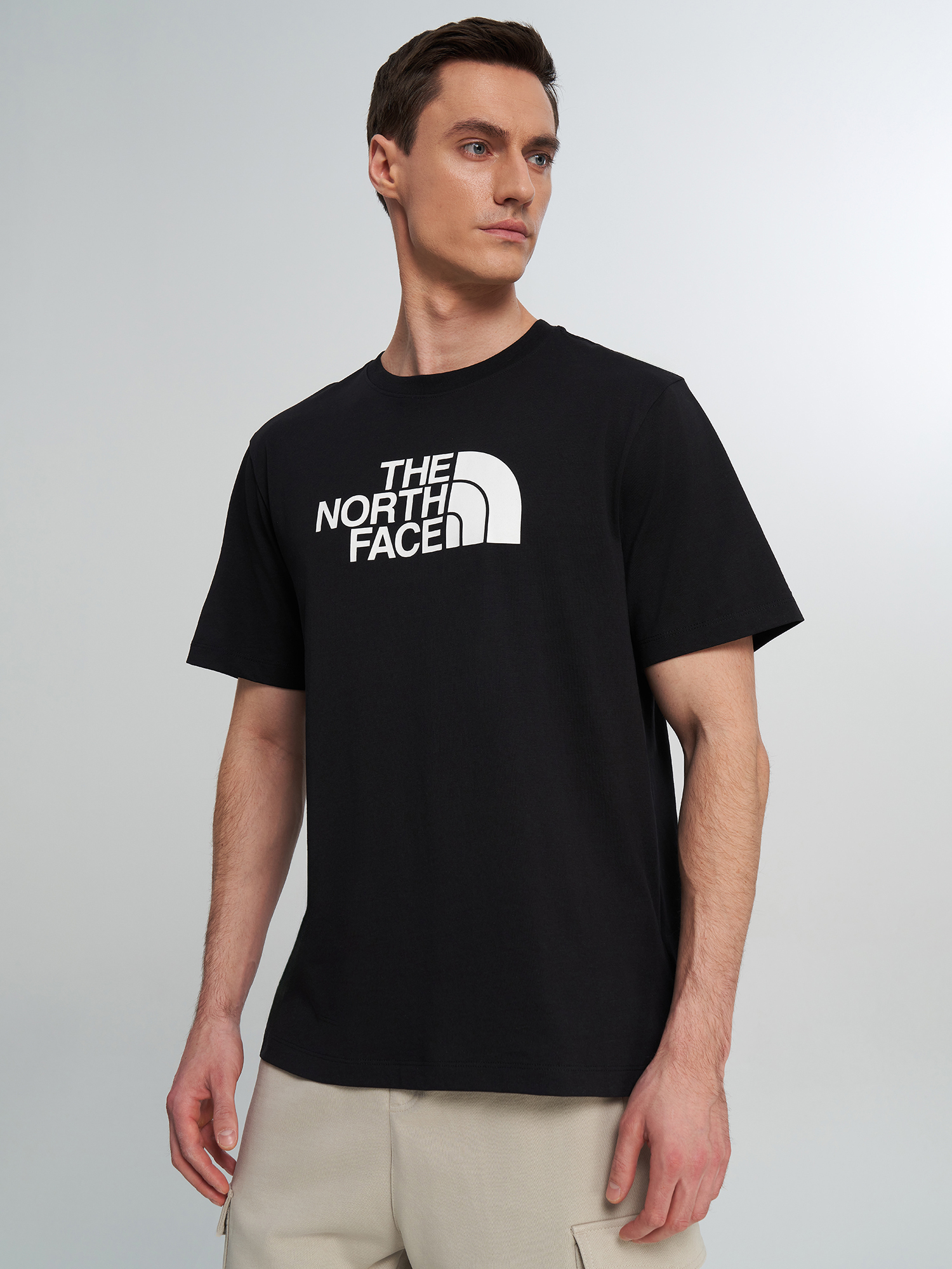 

Футболка мужская The North Face Evolution, Черный