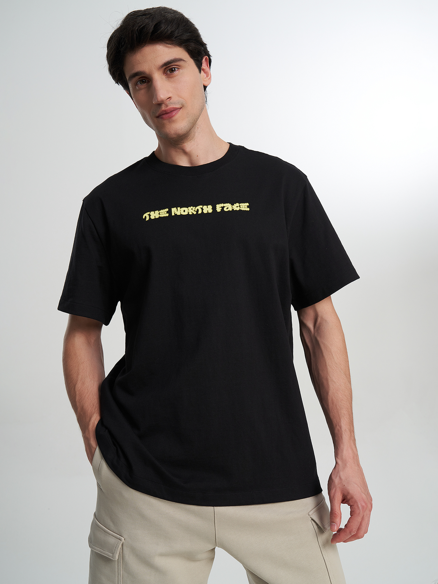 

Футболка мужская The North Face Logo Twist, Черный