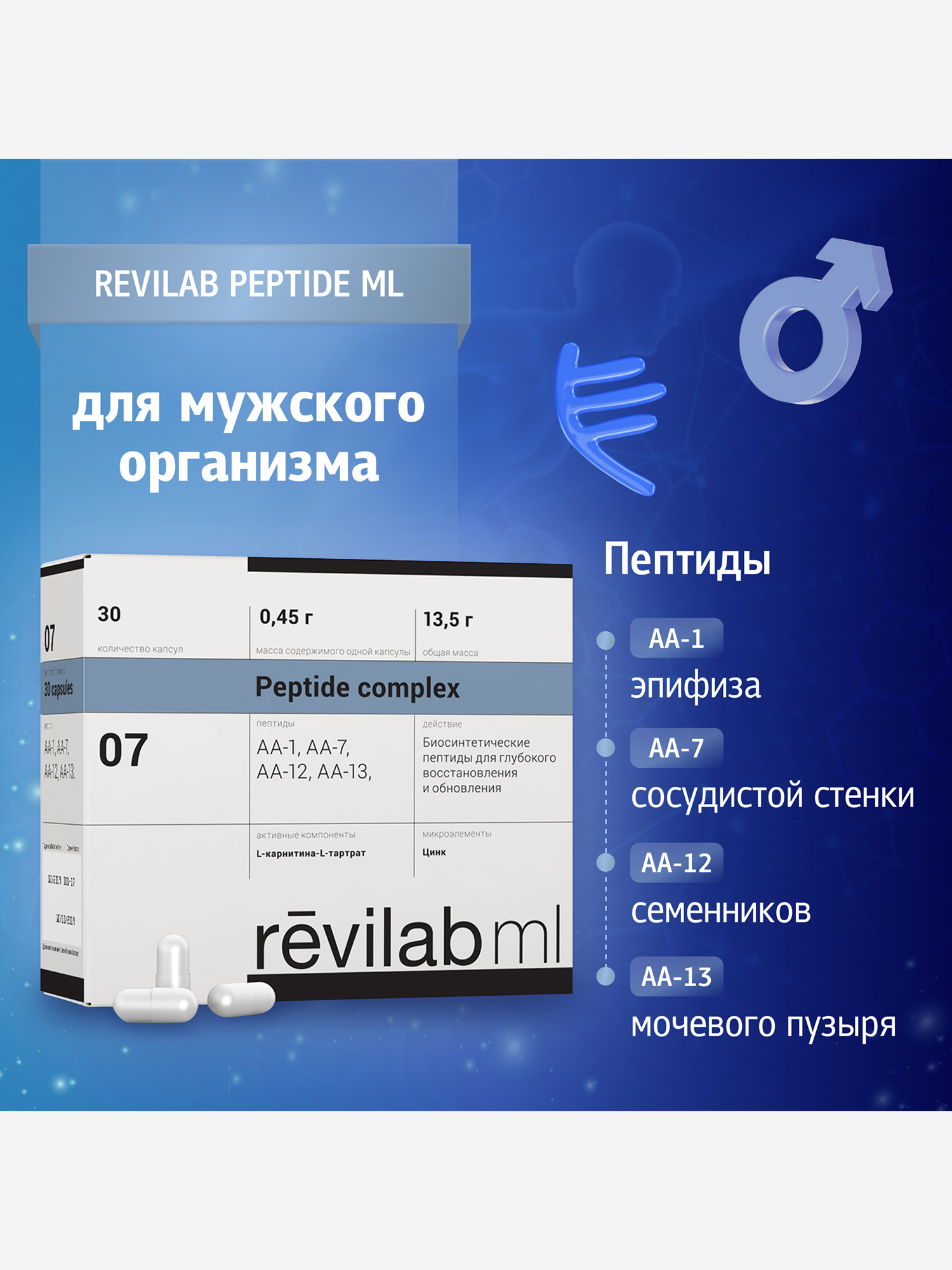Изображение товара Revilab ML-07 Пептидный комплекс для мужского организма капсулы 30 шт