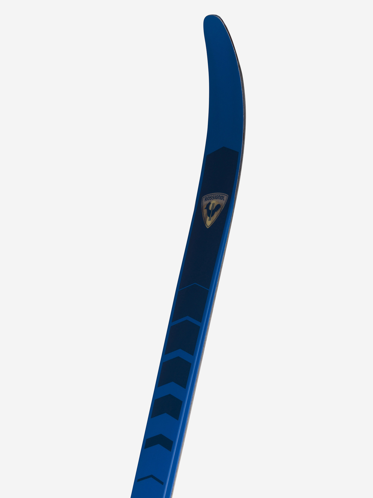 фото Беговые лыжи rossignol bc 65 positrack, синий