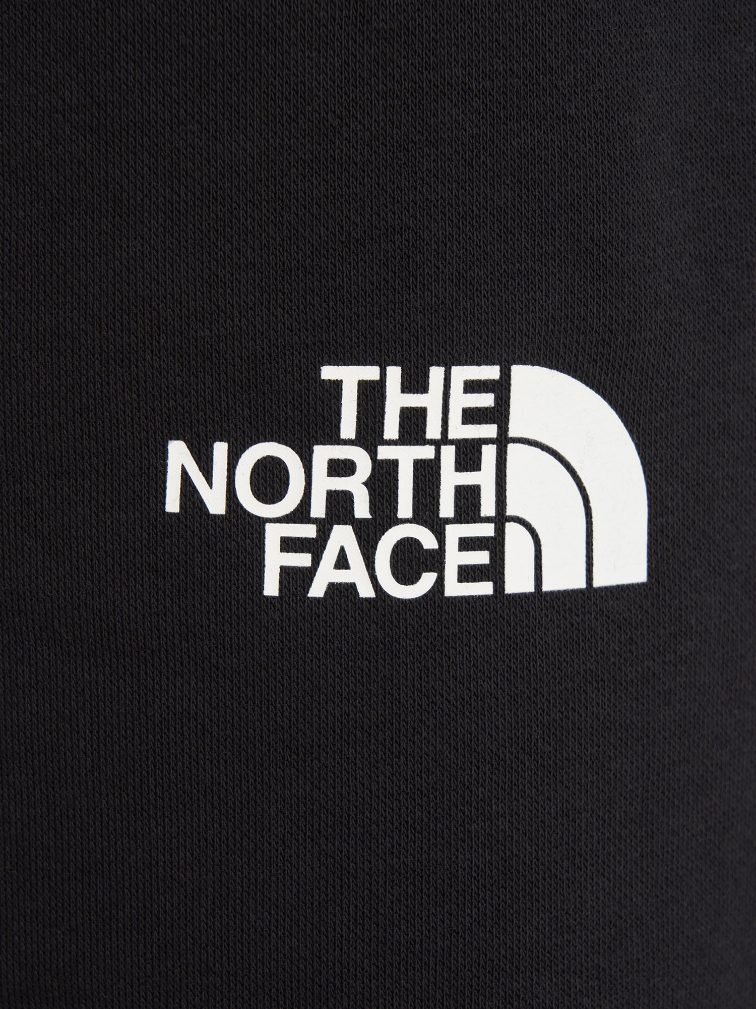 фото Брюки мужские the north face simple dome, черный