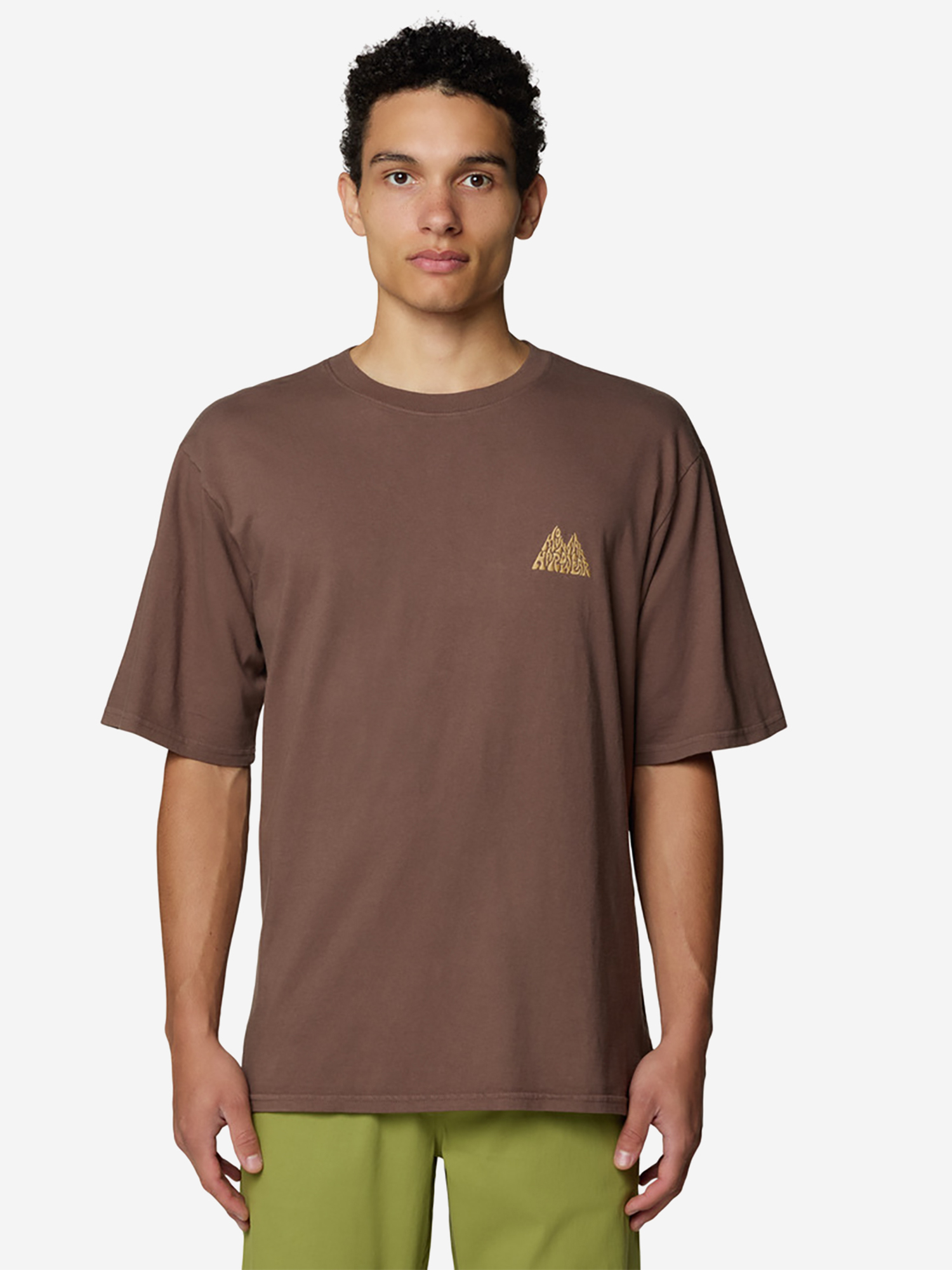 

Футболка мужская Mountain Hardwear Mountains Collab Short Sleeve, Коричневый