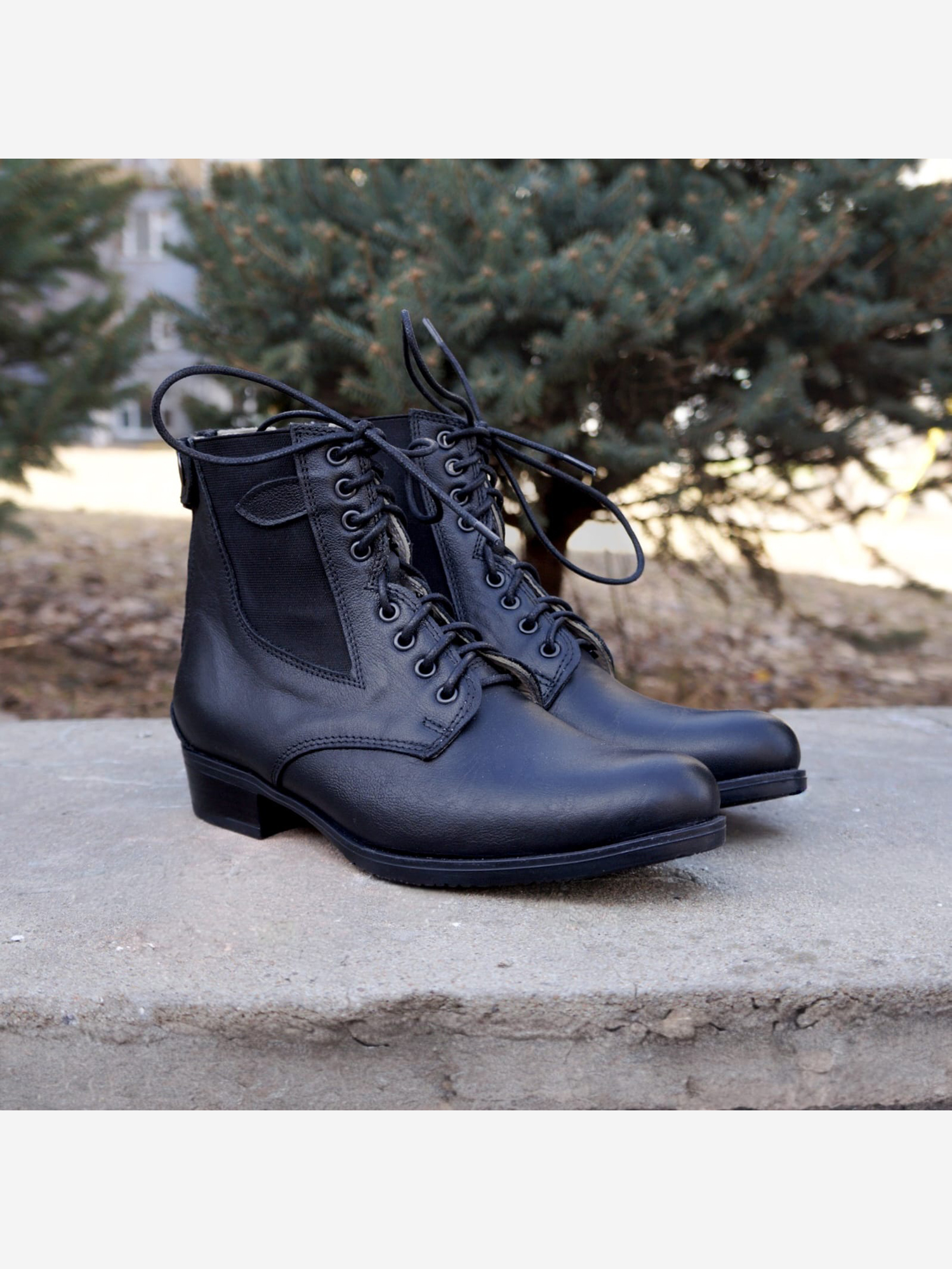 Изображение товара Ботинки универсальные RGEVLab "Драгун" для конного спорта