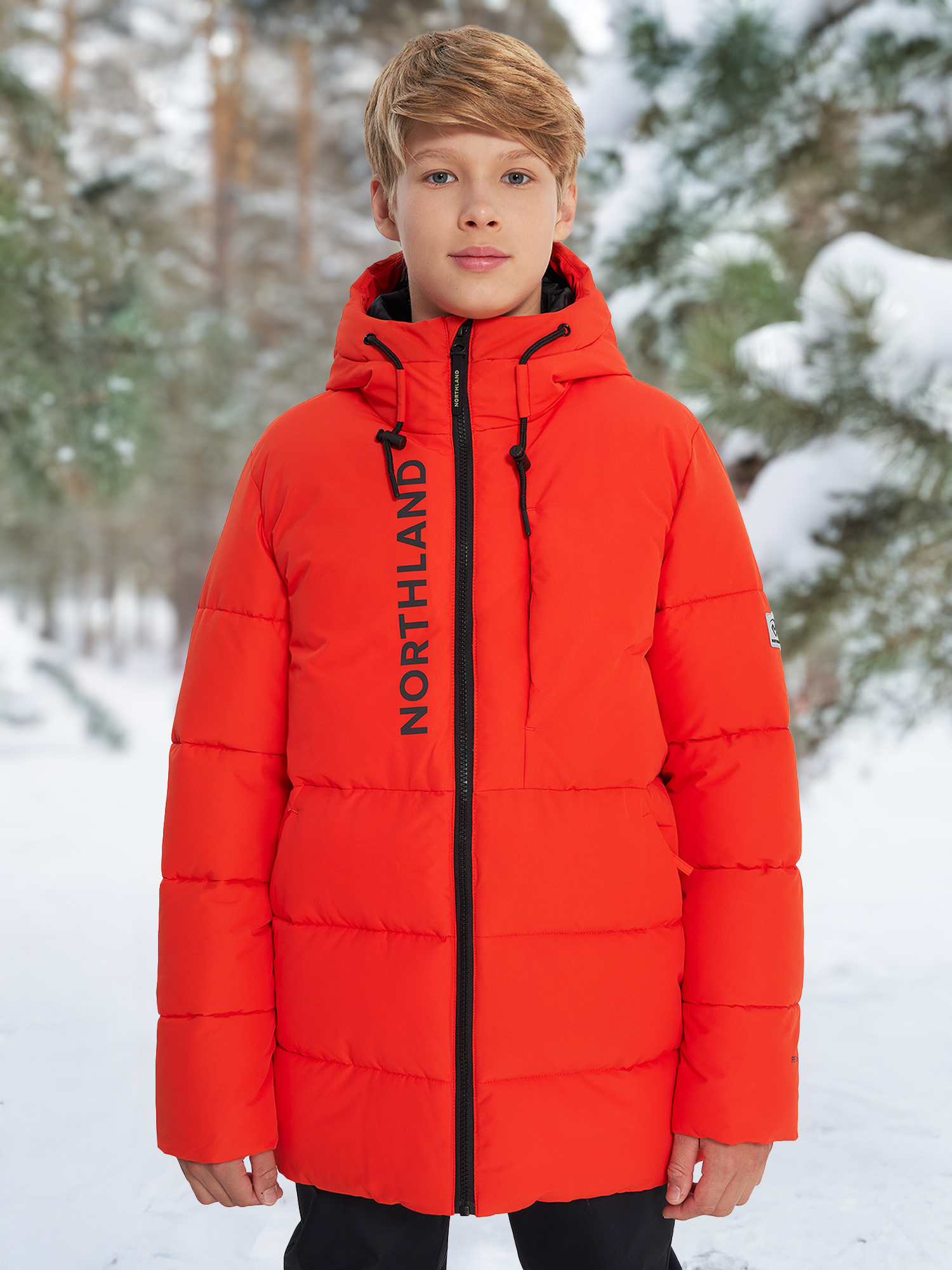 Пуховик для мальчиков Northland, красный, арт. 27913