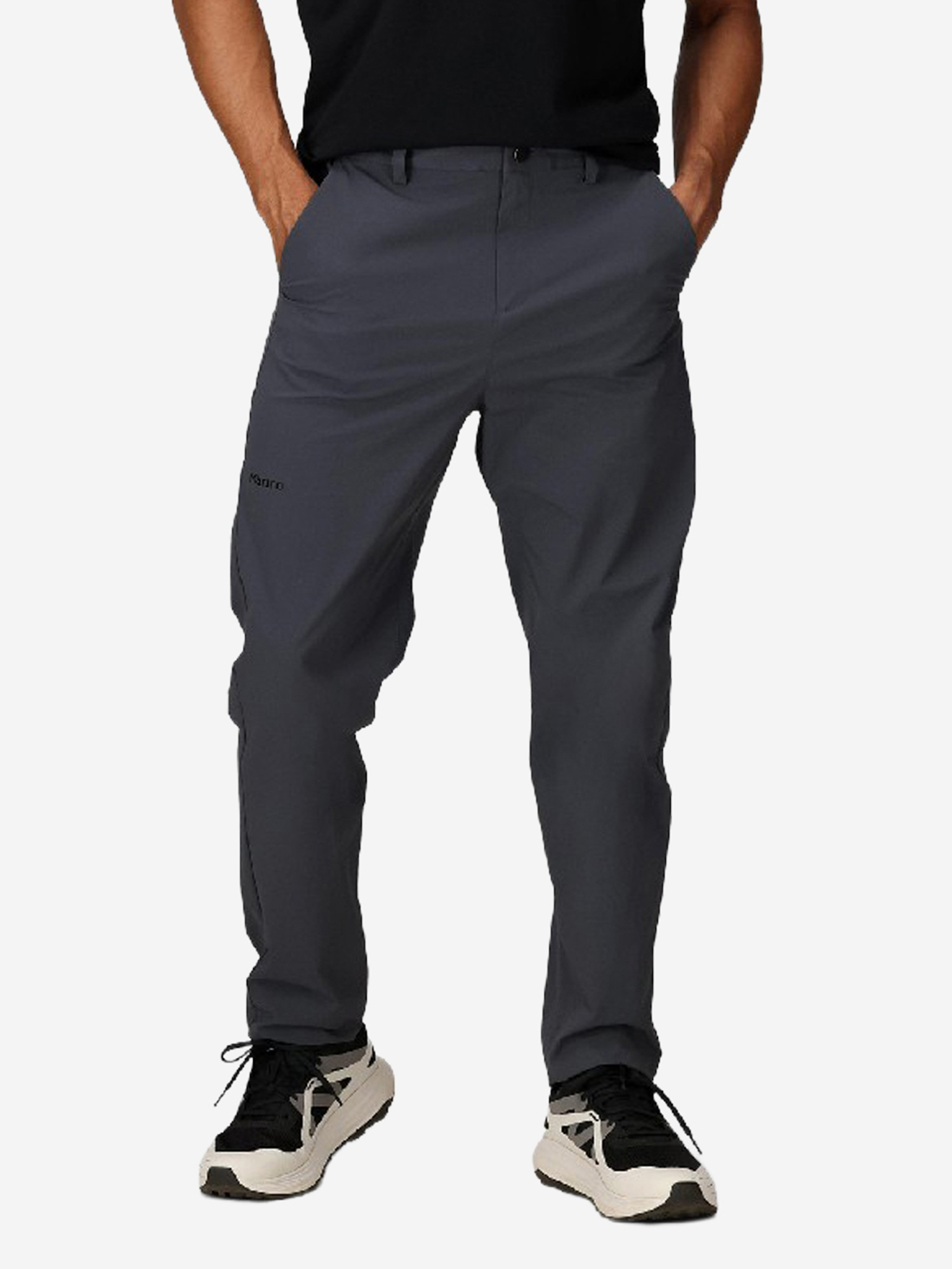 Изображение товара Брюки мужские Arch Rock Pant, Серый