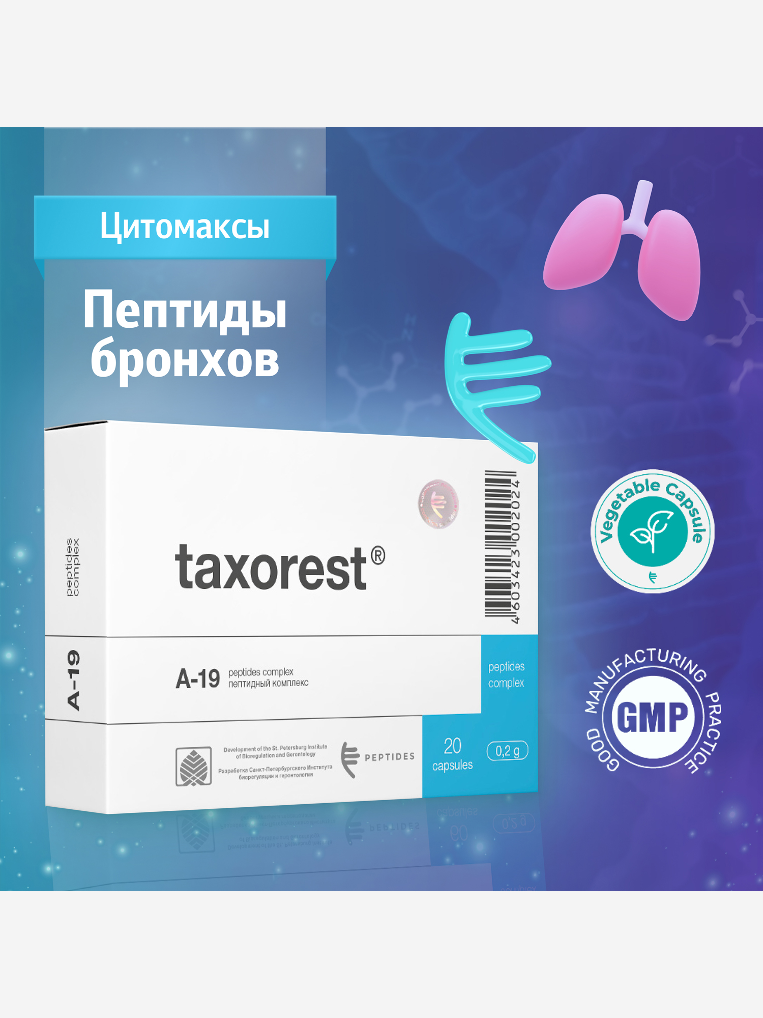 Изображение товара Натуральные пептиды бронхо-лёгочной системы Таксорест 20 капсул для восстановления дыхательной сист