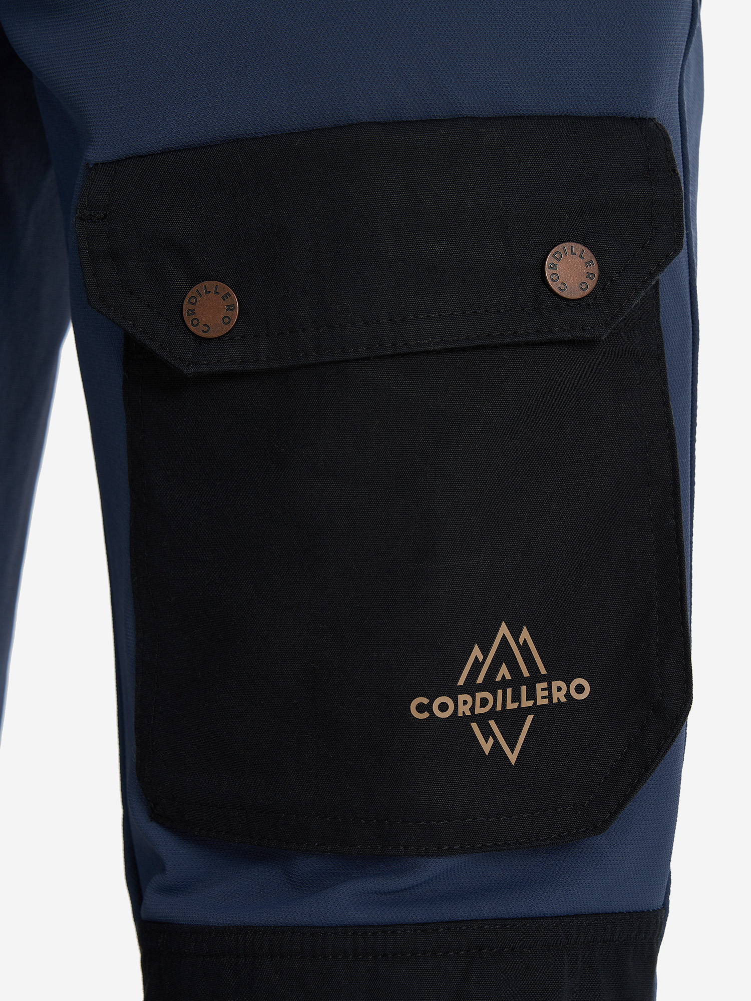 фото Брюки мужские cordillero, синий