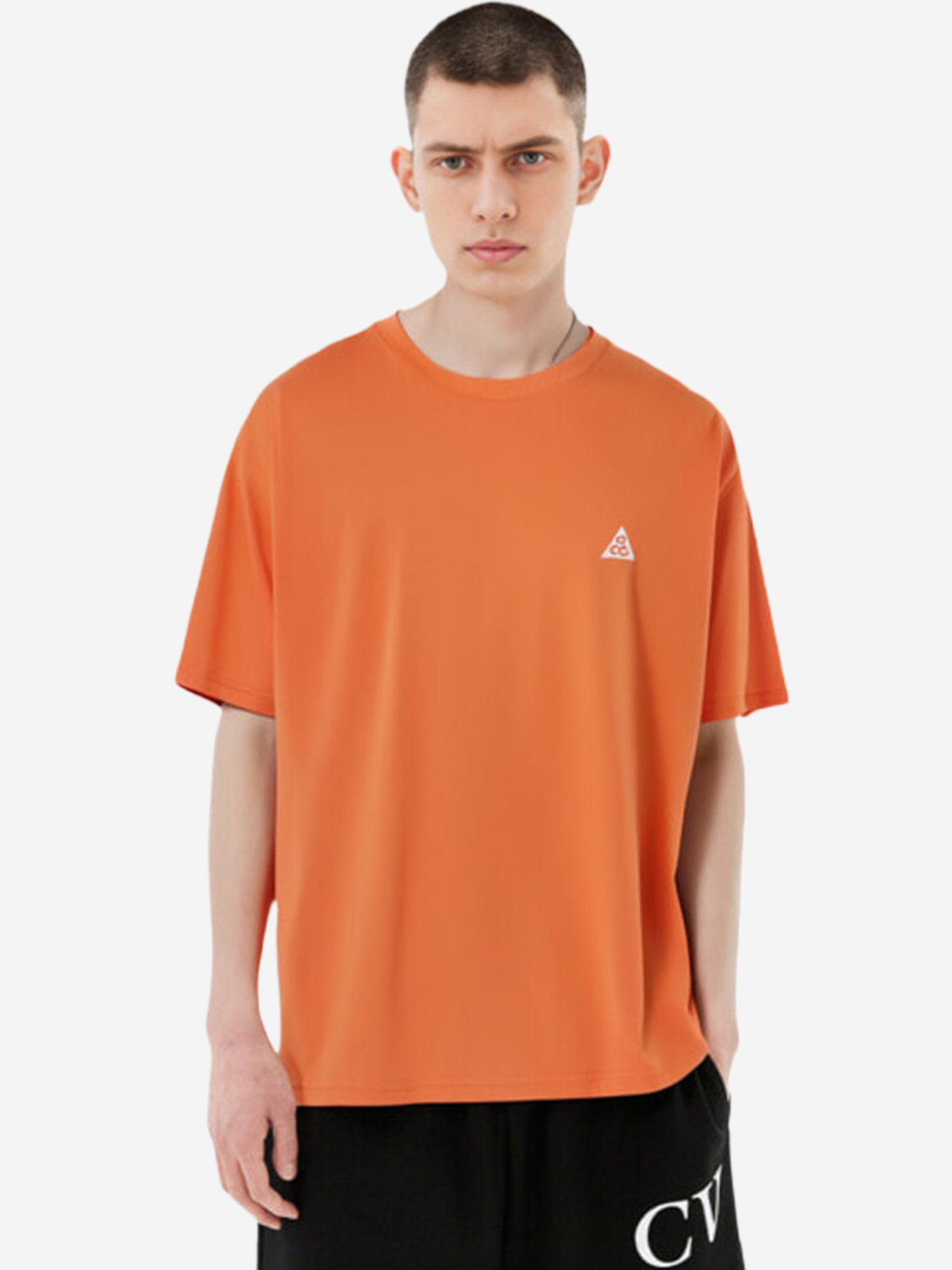 Изображение товара Футболка мужская Nike ACG