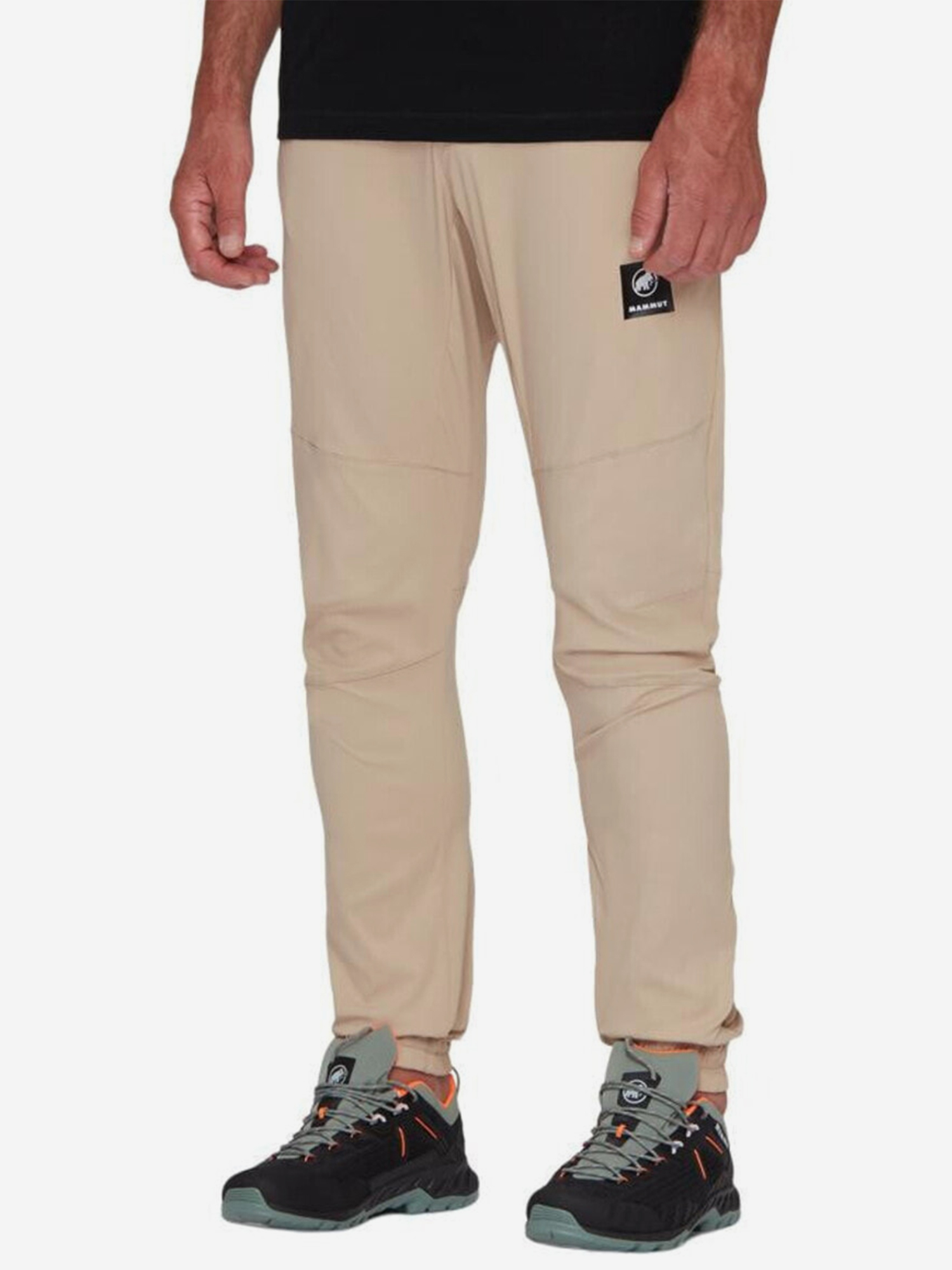 Изображение товара Брюки мужские MAMMUT Aenergy SO Pants, Бежевый