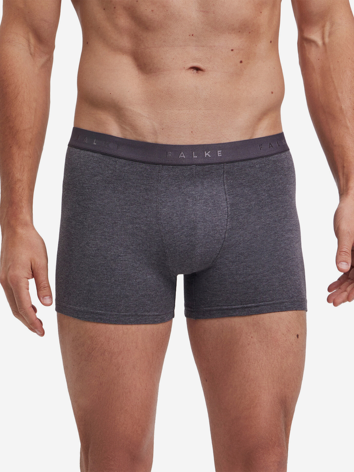 Изображение товара Набор мужских трусов FALKE, Серый