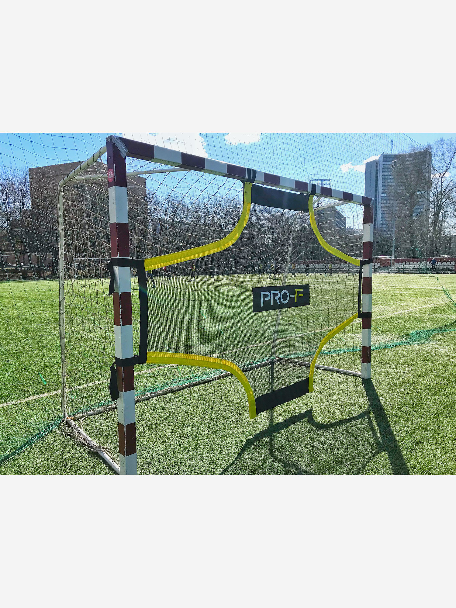 

Футбольный тренажер сетка-мишень на ворота TARGET SHOT 3x2 PRO-F, Черный