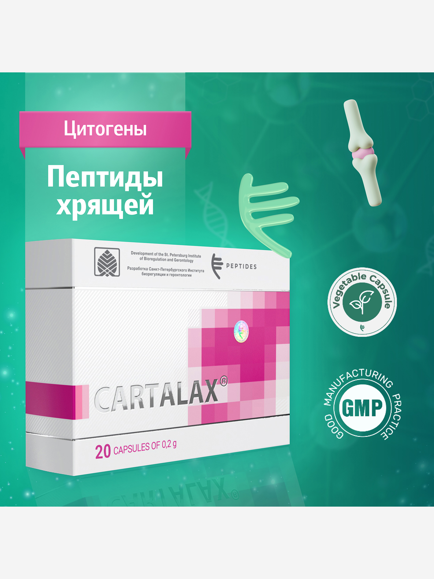 Изображение товара Карталакс 20 капсул - Пептид хрящевой ткани