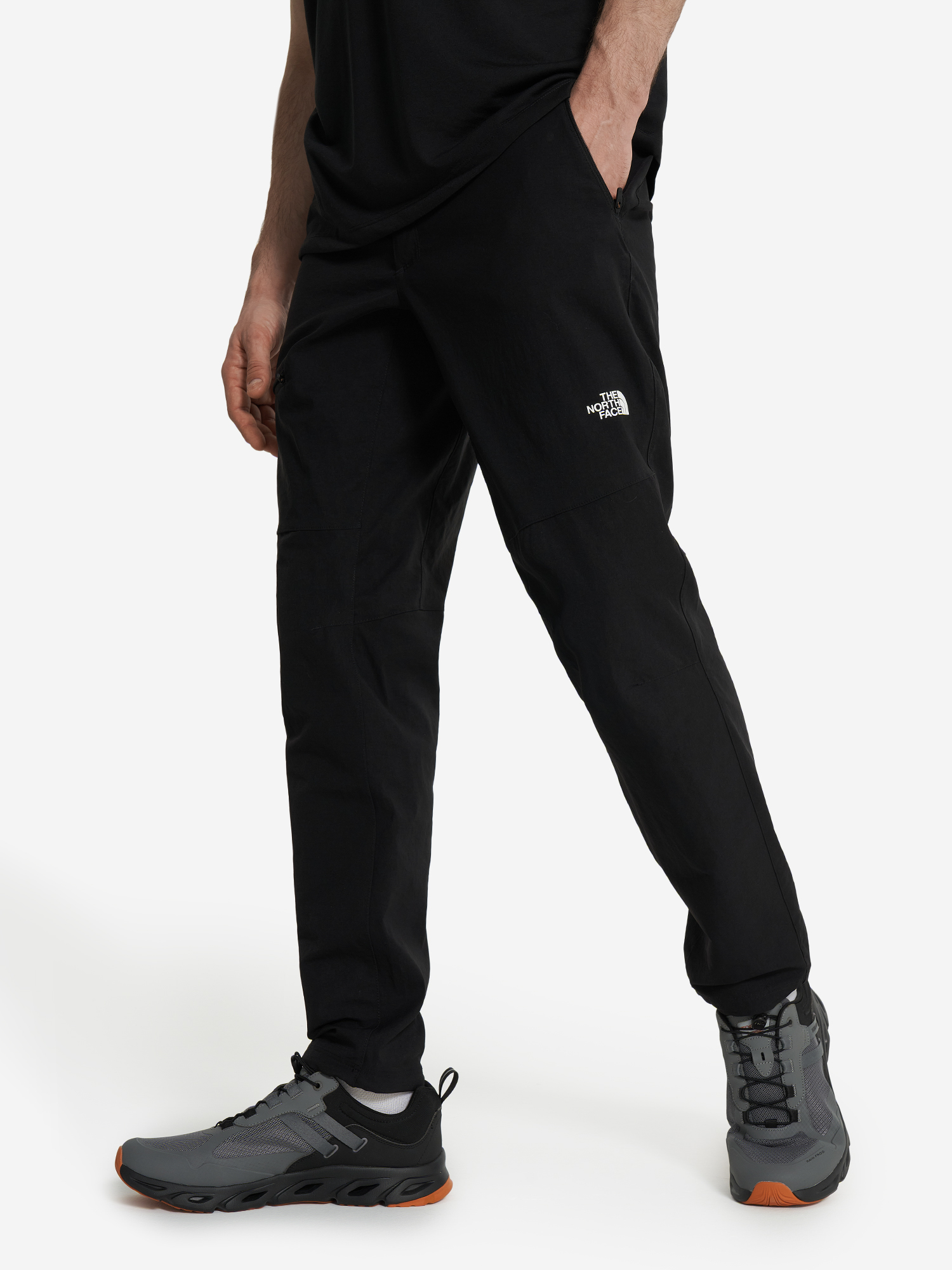 

Брюки мужские The North Face, Черный