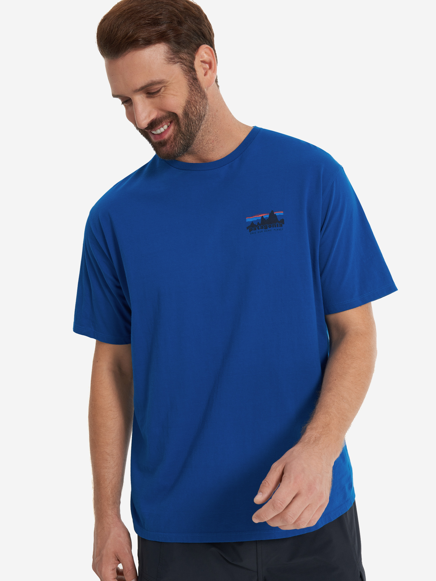 

Футболка мужская Patagonia Skyline Organic, Синий