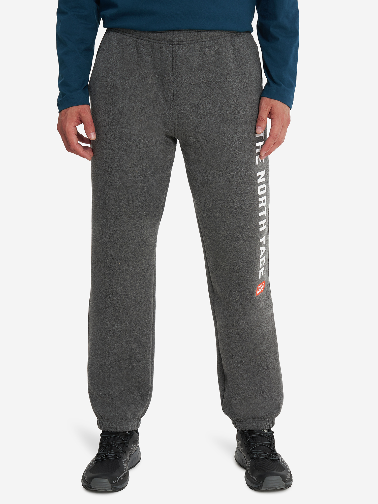 

Брюки мужские The North Face Varsity Graphic, Серый