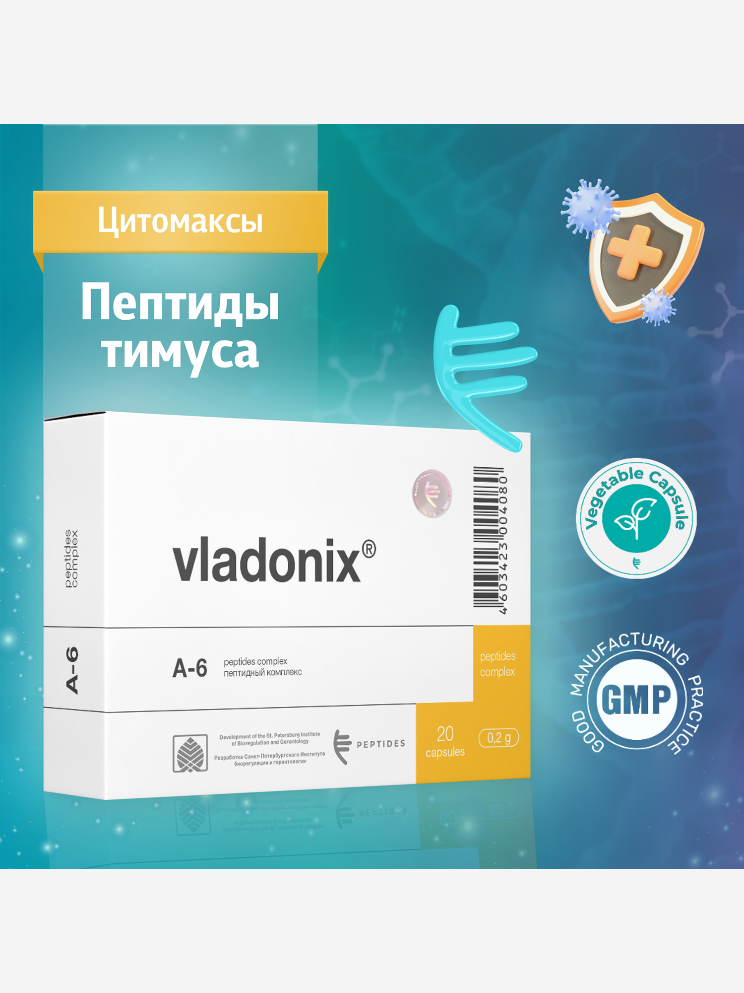 Изображение товара Владоникс 20 капсул - Натуральные пептиды тимуса