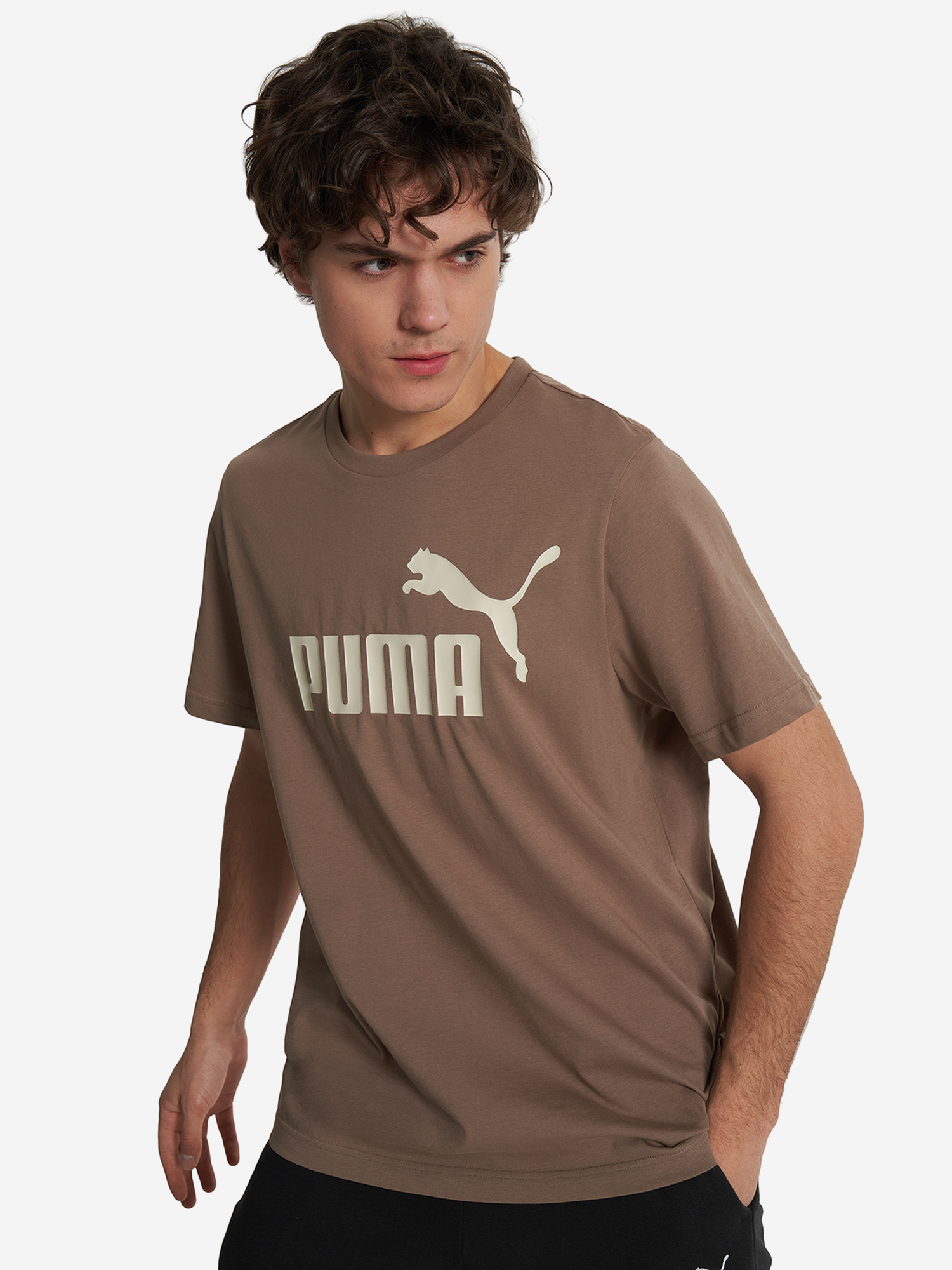 

Футболка мужская PUMA Essentials No. 1 Logo, Коричневый